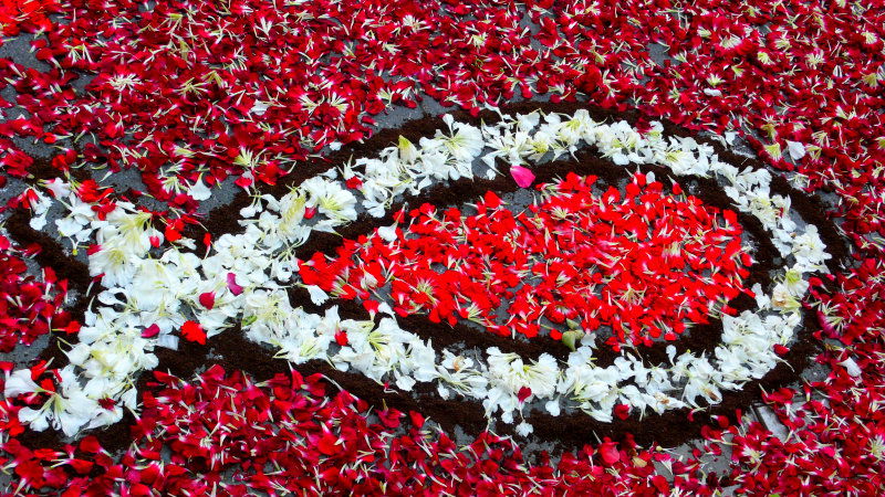 L'infiorata di Diano Marina, por PierLuigi Galliano