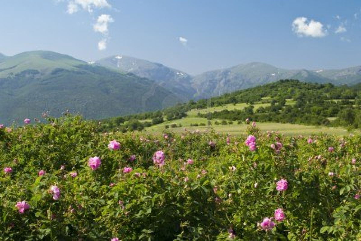 Valle de las Rosas, por Paul RAFFARD de BRIENNE