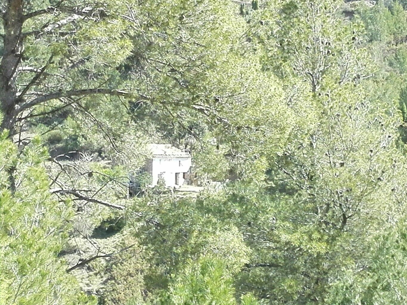 Nacimiento del río Lucena, por JOSITO