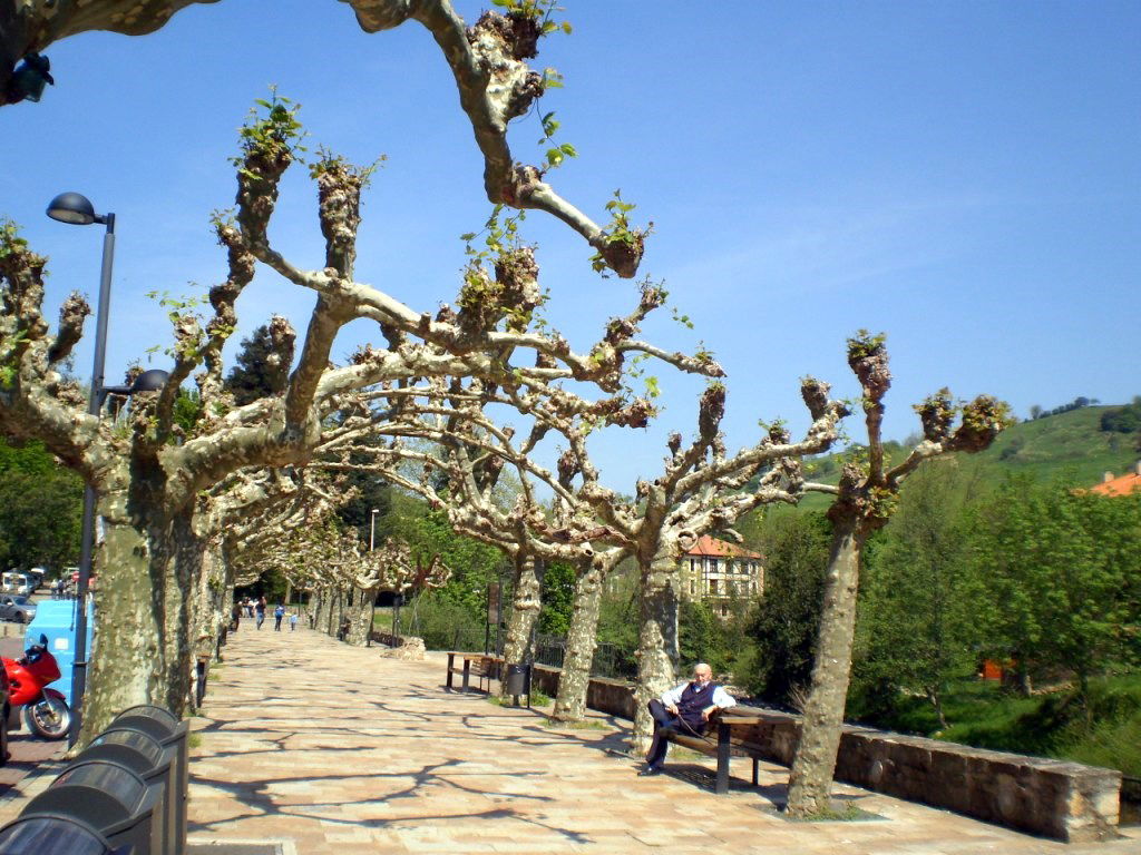 Paseo del Hombre Pez o Paseo de Velasco, por Lala