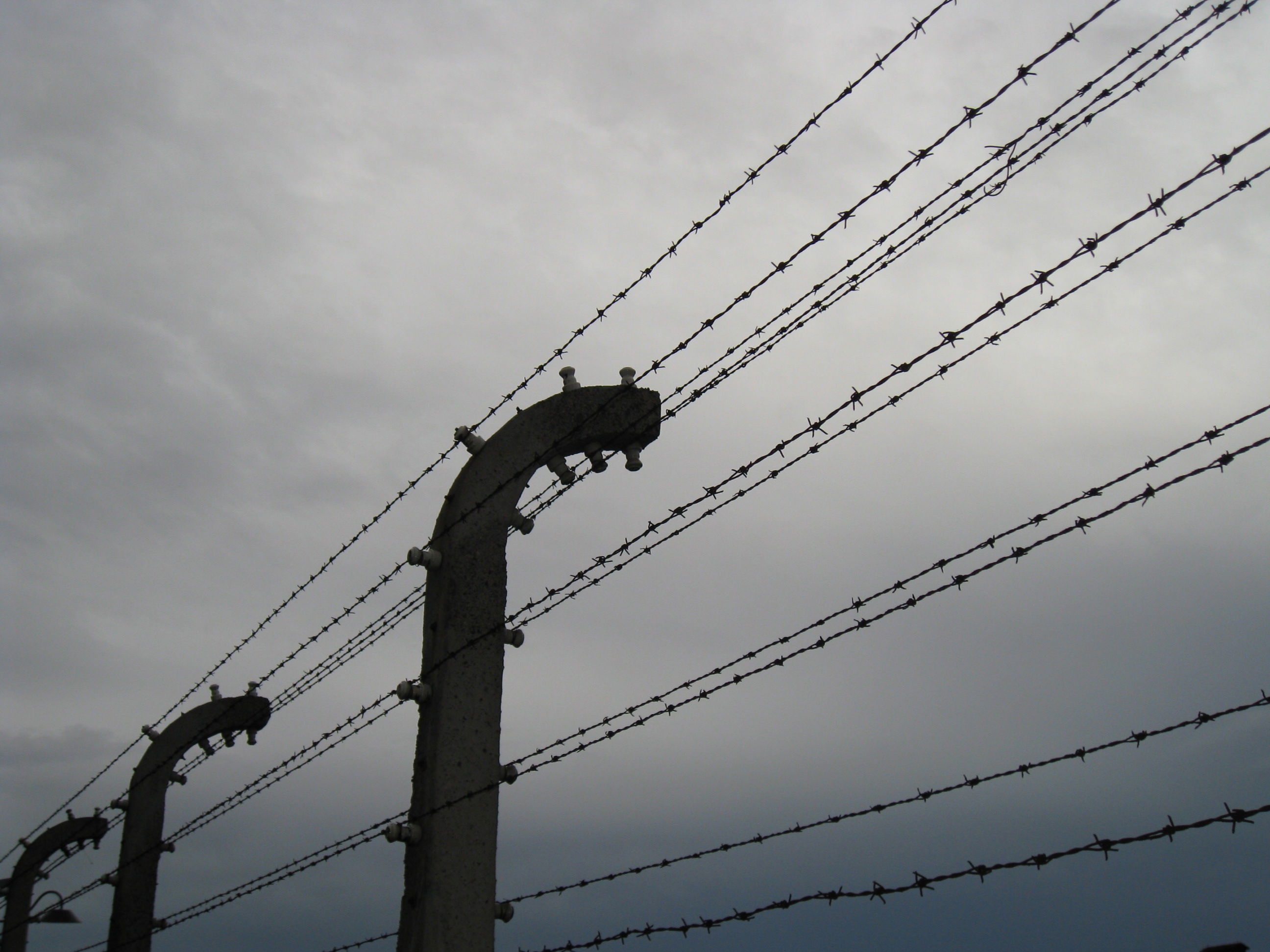 Alambradas de Birkenau, por Las sandalias de Ulises
