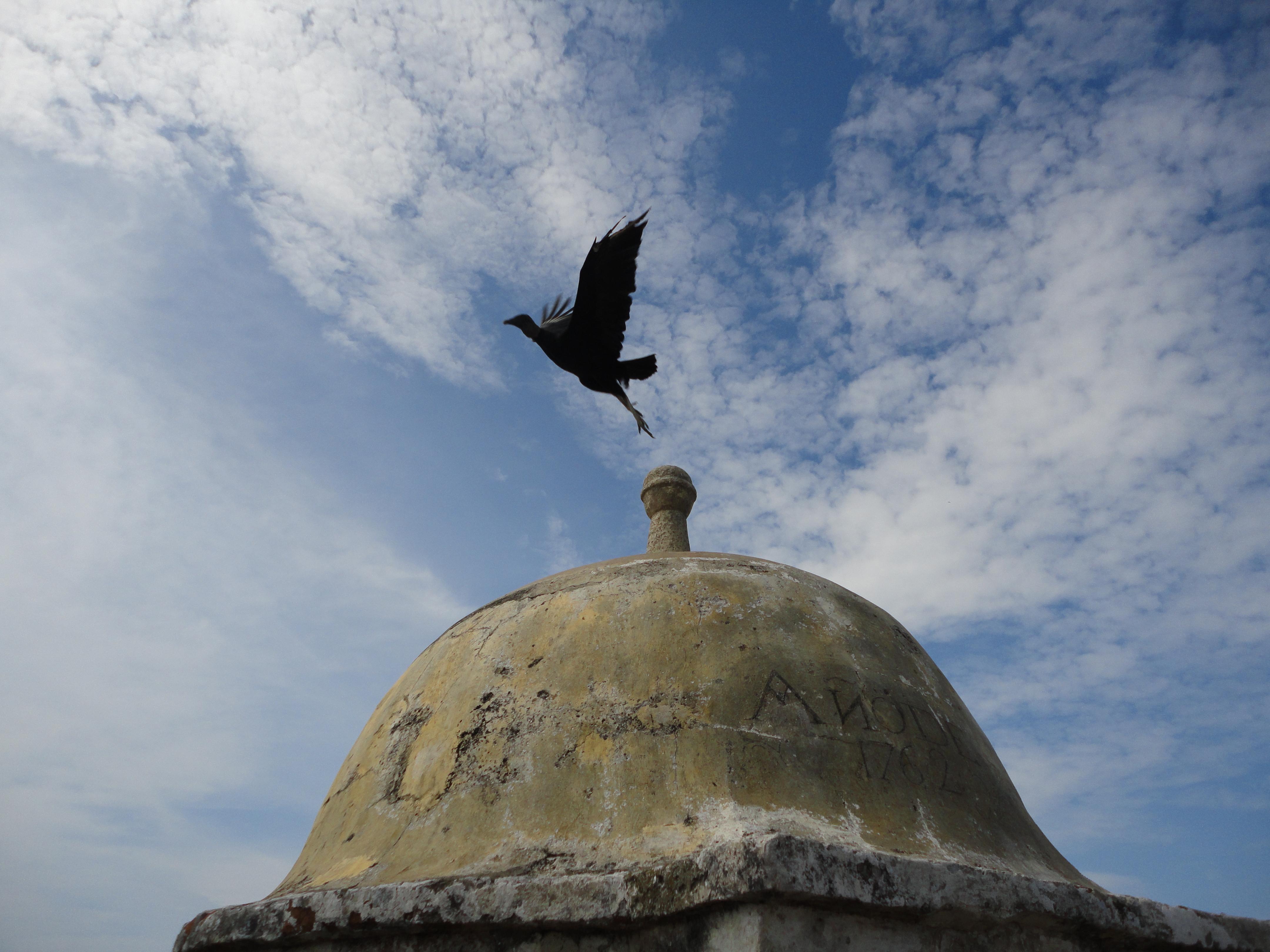 Monumentos Históricos en Cartagena de Indias que cuentan su historia