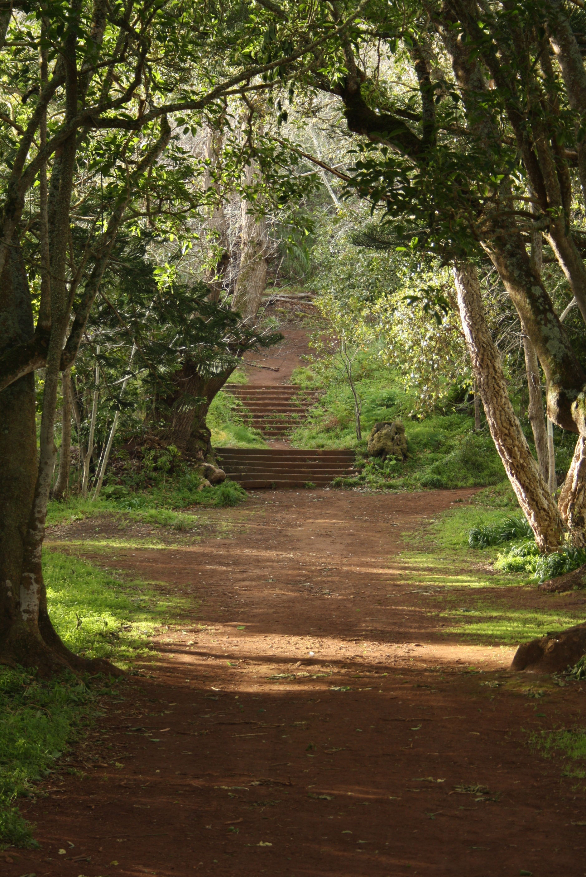 Finca De Osorio, por JOSE CARLOS SANTANA DOMINGUEZ