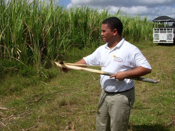 Visita de una fábrica de puros, por Joxu