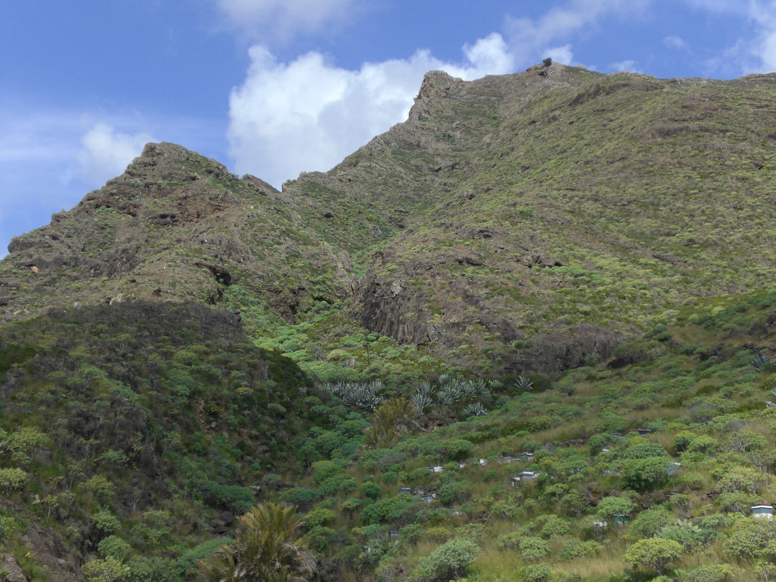 Vuaje a la Gomera, por paulinette