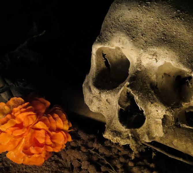 Cemitério em Nápoles oferece passeio 'macabro' a turistas - InfoMoney