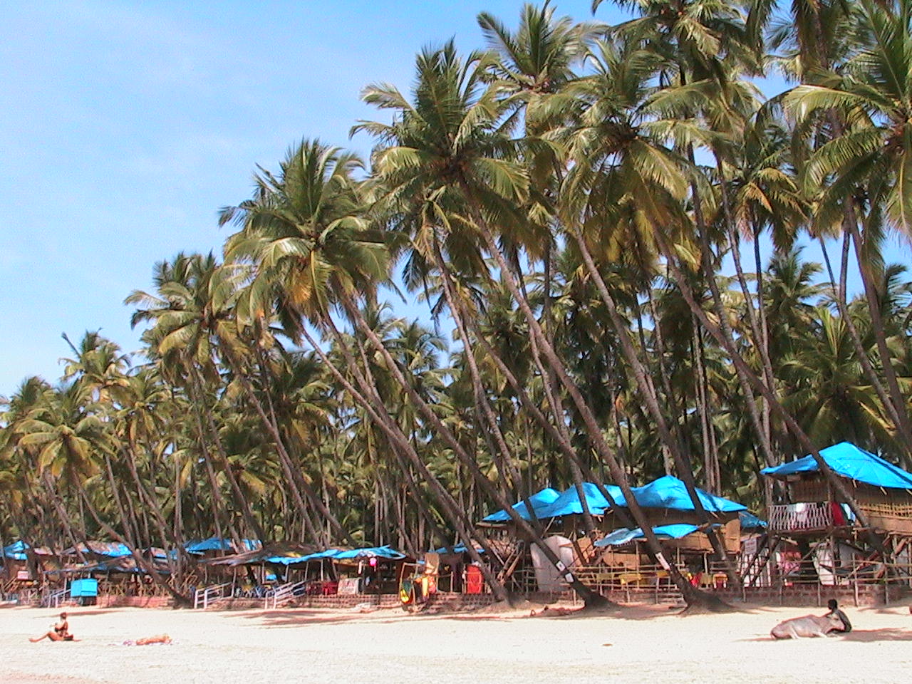 Playa de Goa, por paulinette