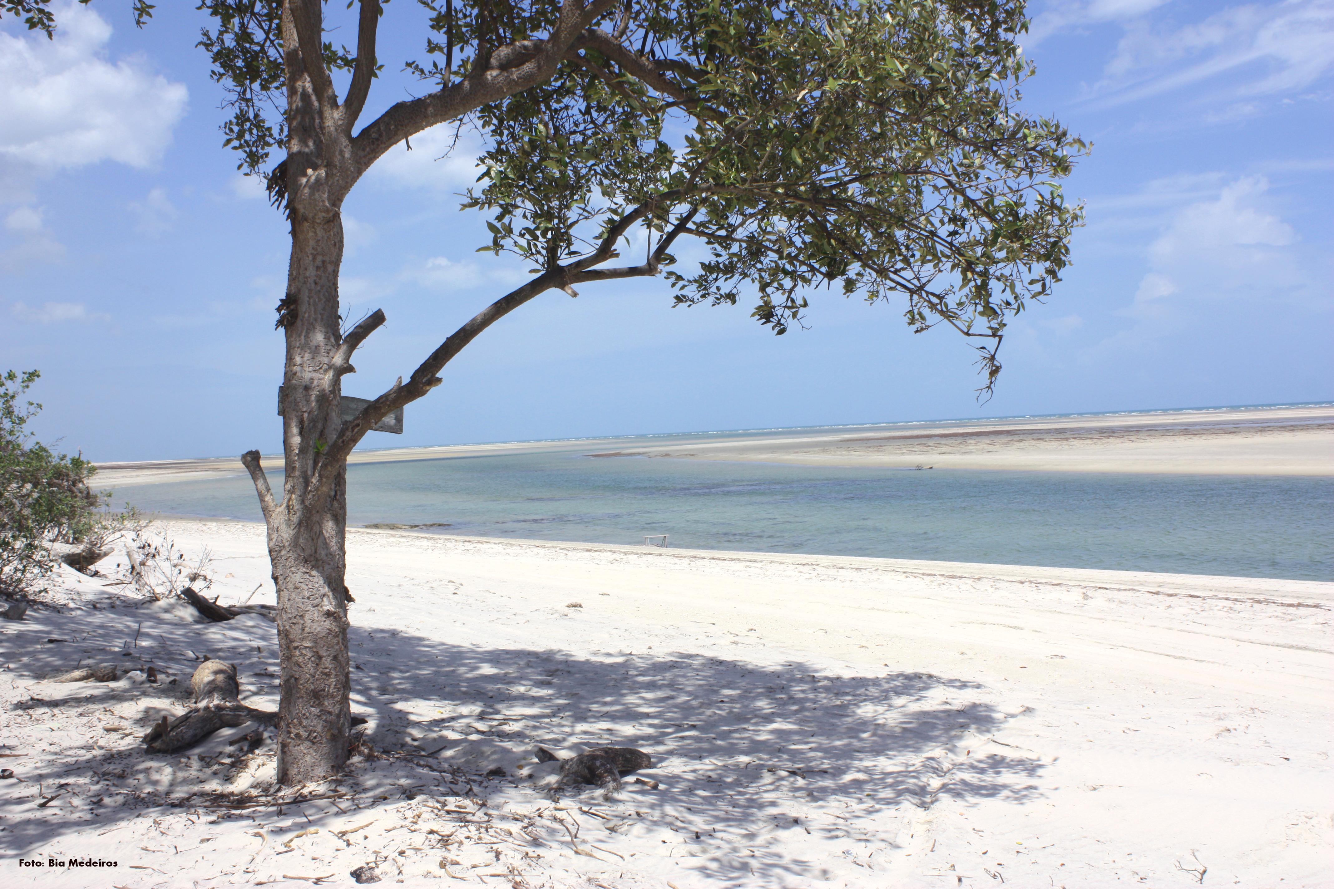 Tatajuba Beach, por Beatriz Medeiros