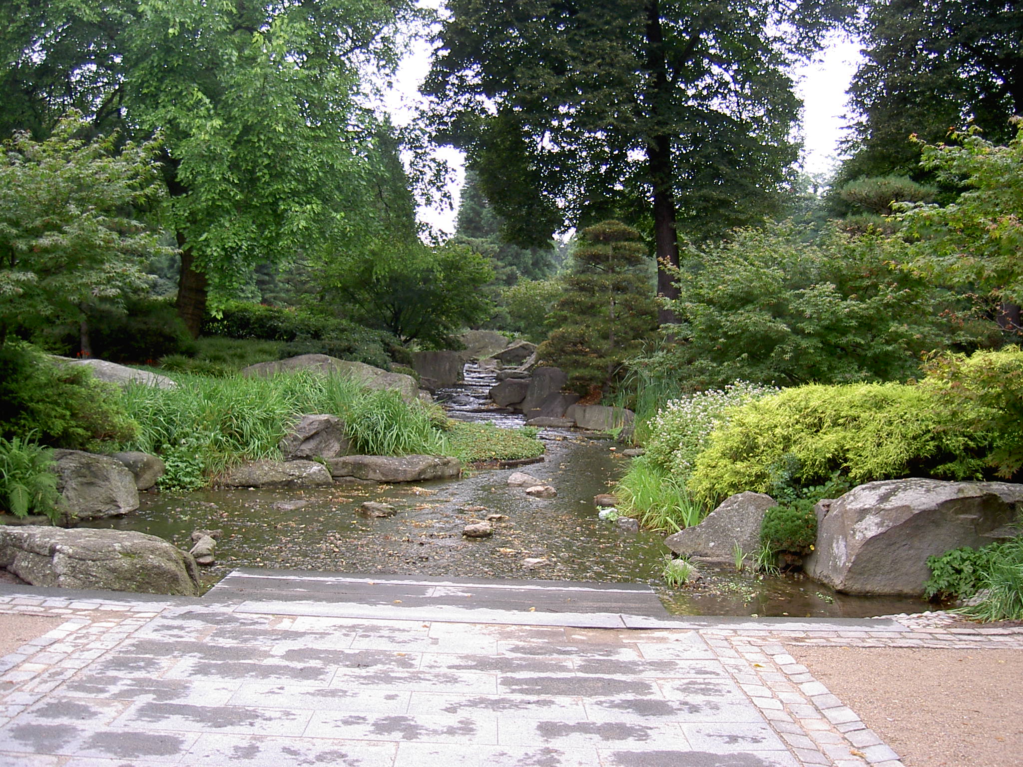 Jardím Botánico - Alter Botanischer Garten, por marela