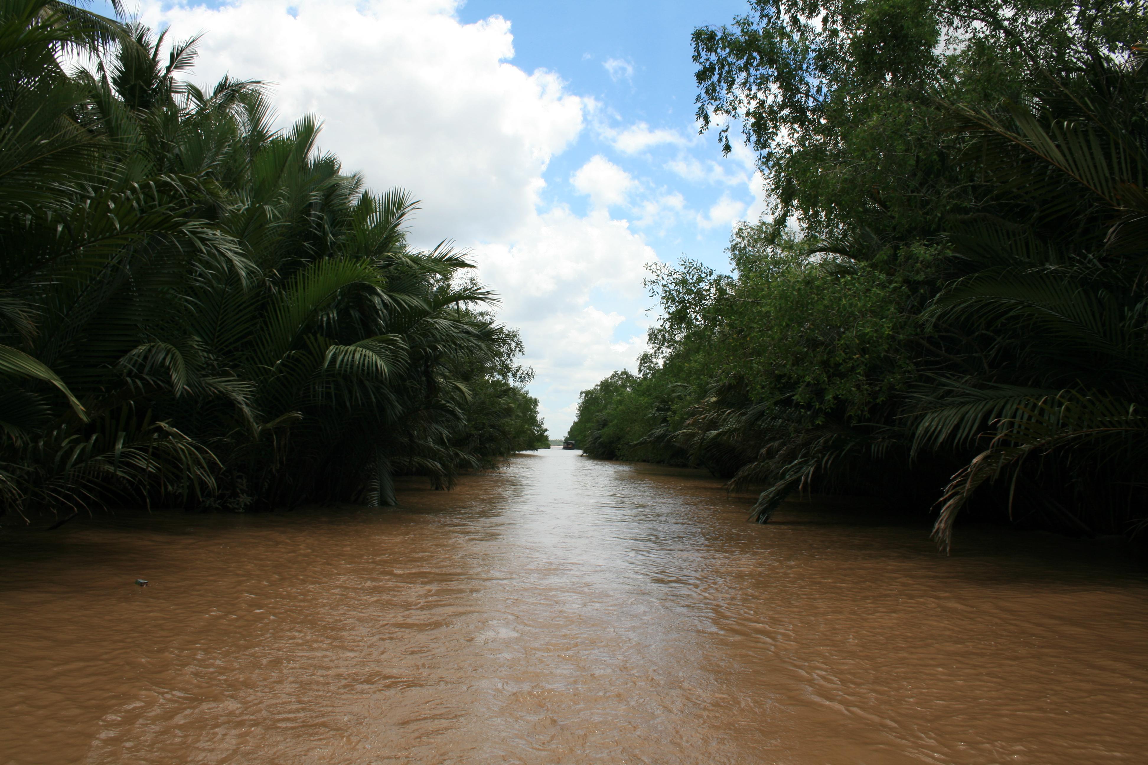 Delta del Mekong, por Carlos Viera