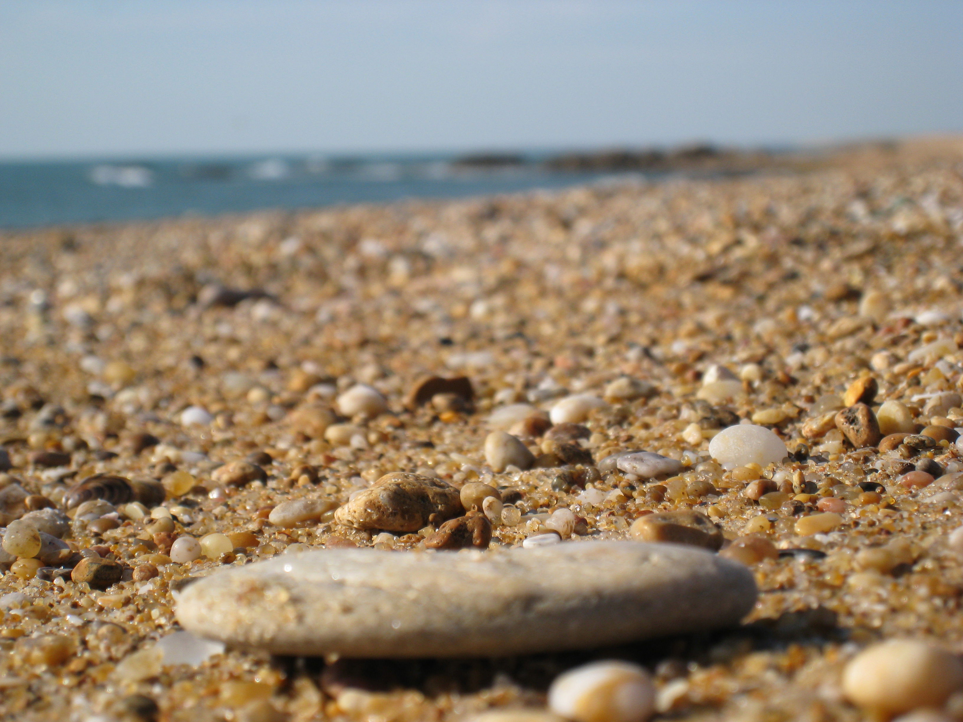 Playa del paracou, por ismene5