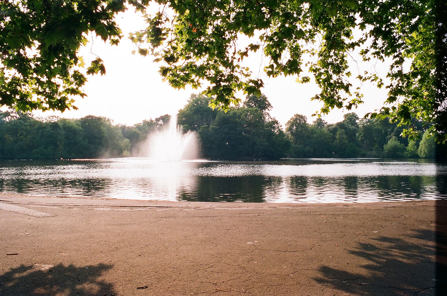 Parque Victoria, por Francisca 
