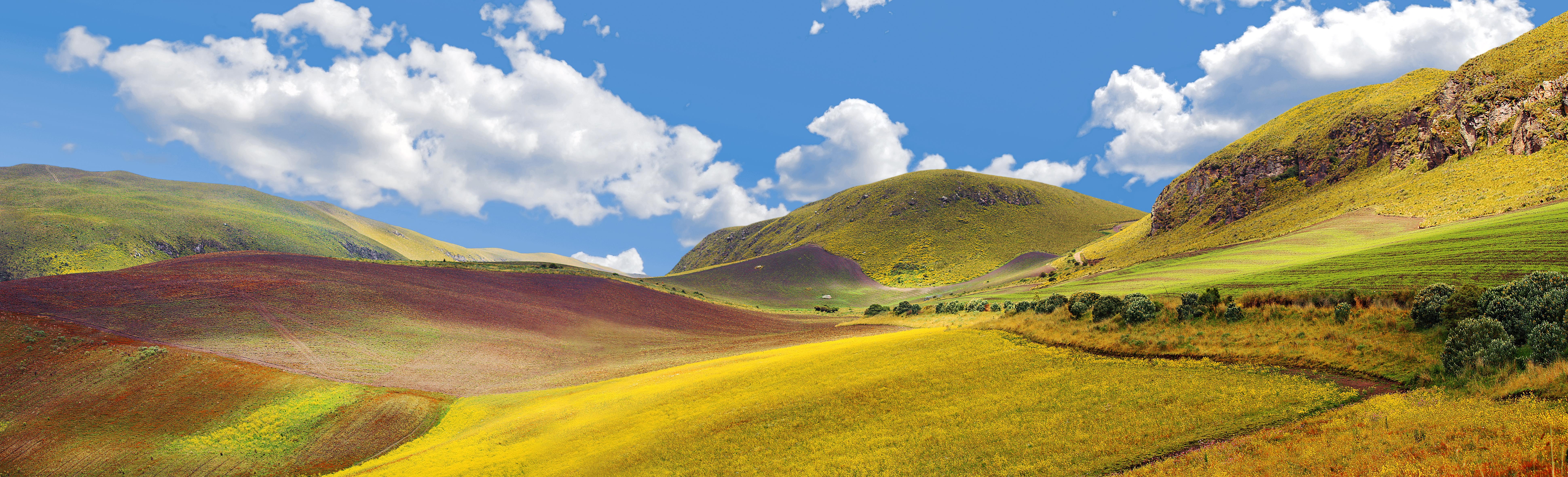 Nevado Cayambe, por Marco Garzon