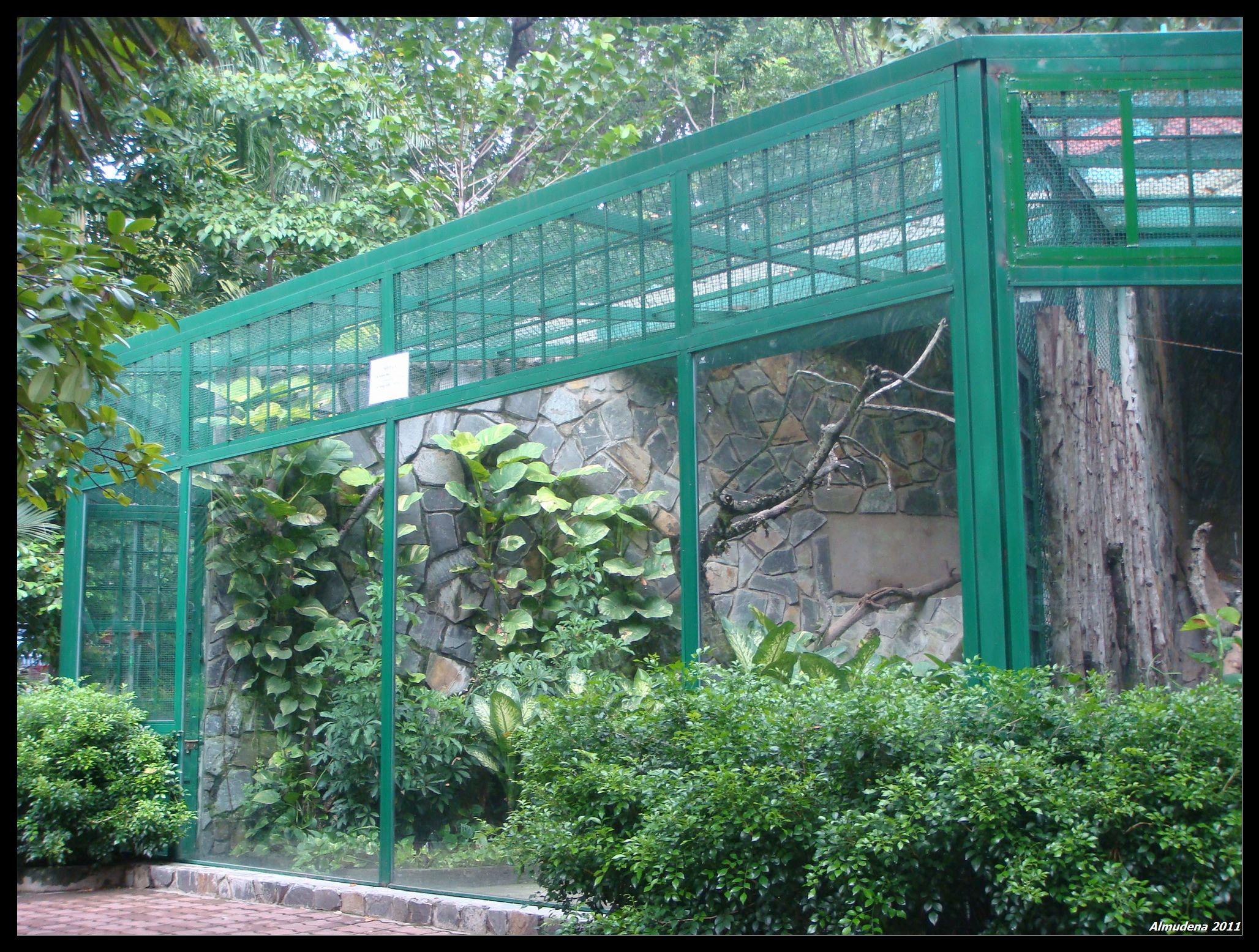 Zoológico Y Jardín Botánico, por Almudena