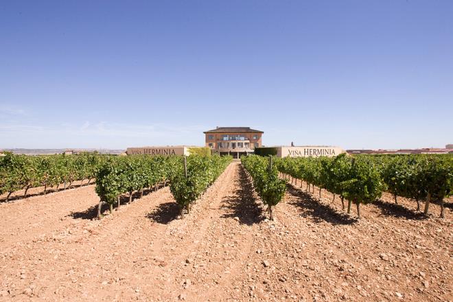 Bodegas Viña Herminia, por La Rioja