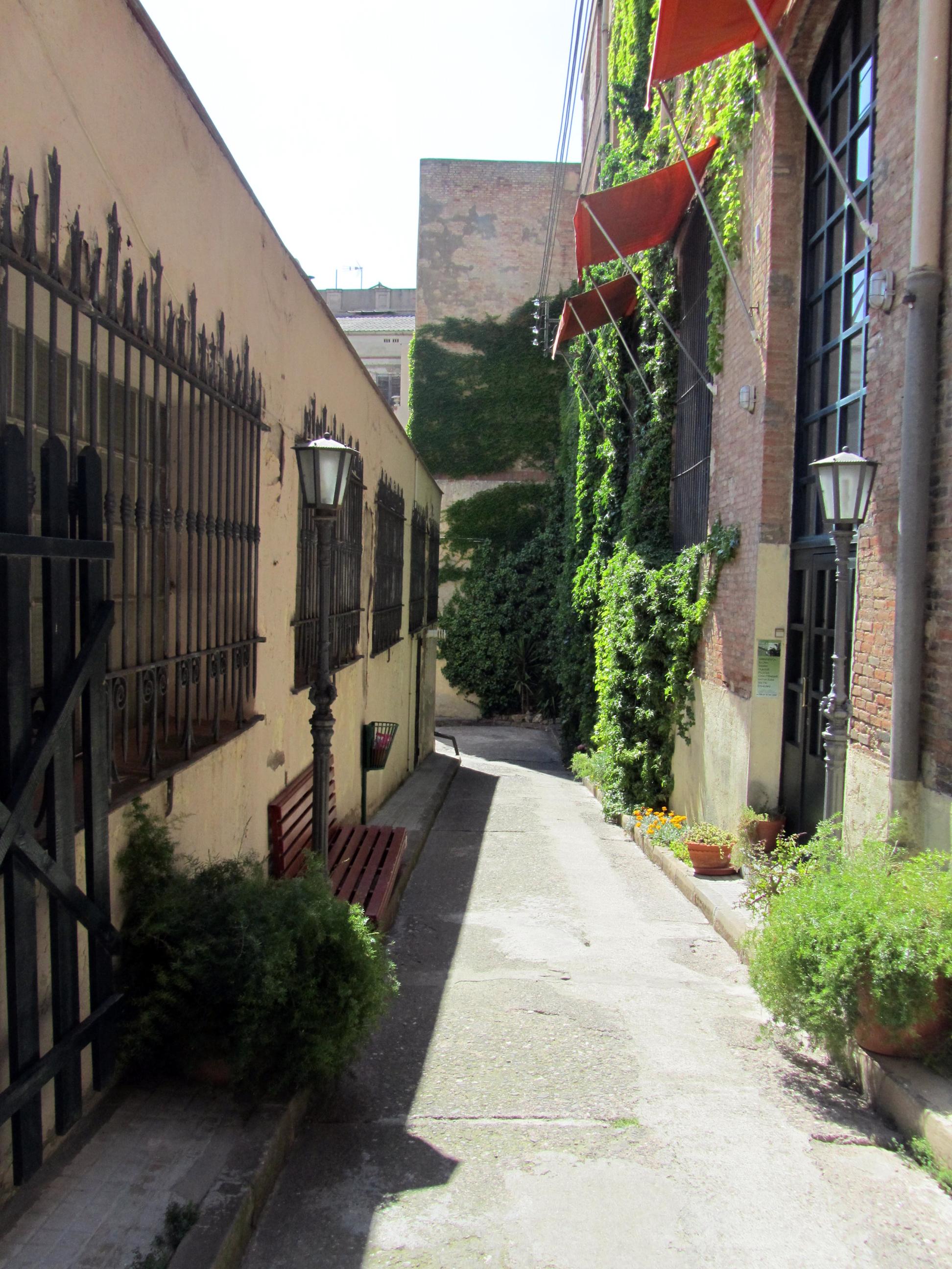 Carrer del Portal Nou, por Marta Pilar