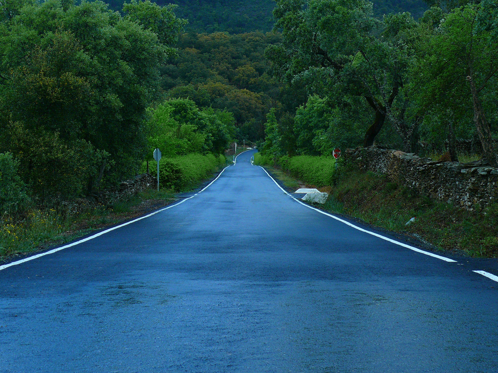 Sierra de Huelva, por AHAM
