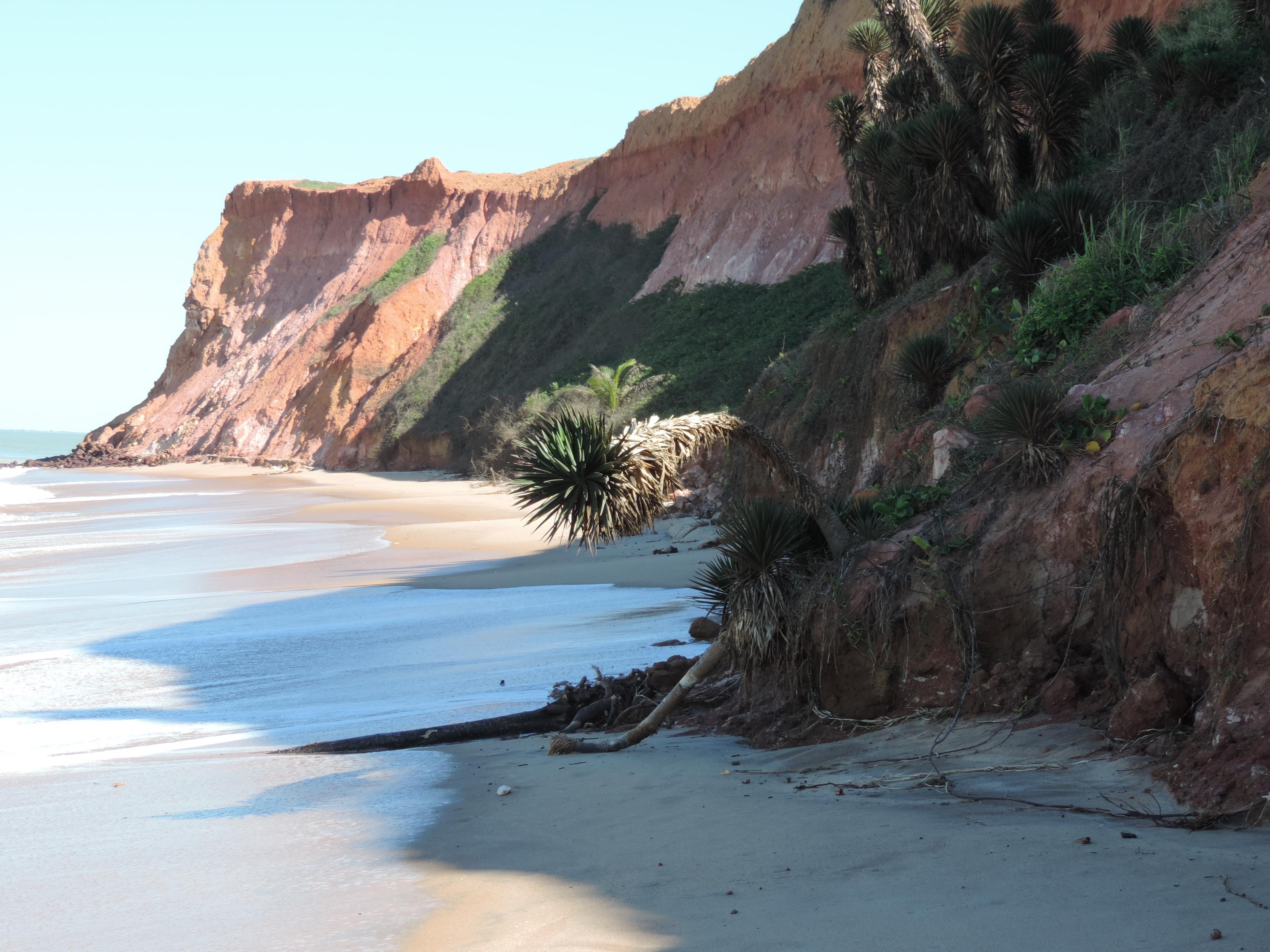 Praia das Falesias, por Janice Mary