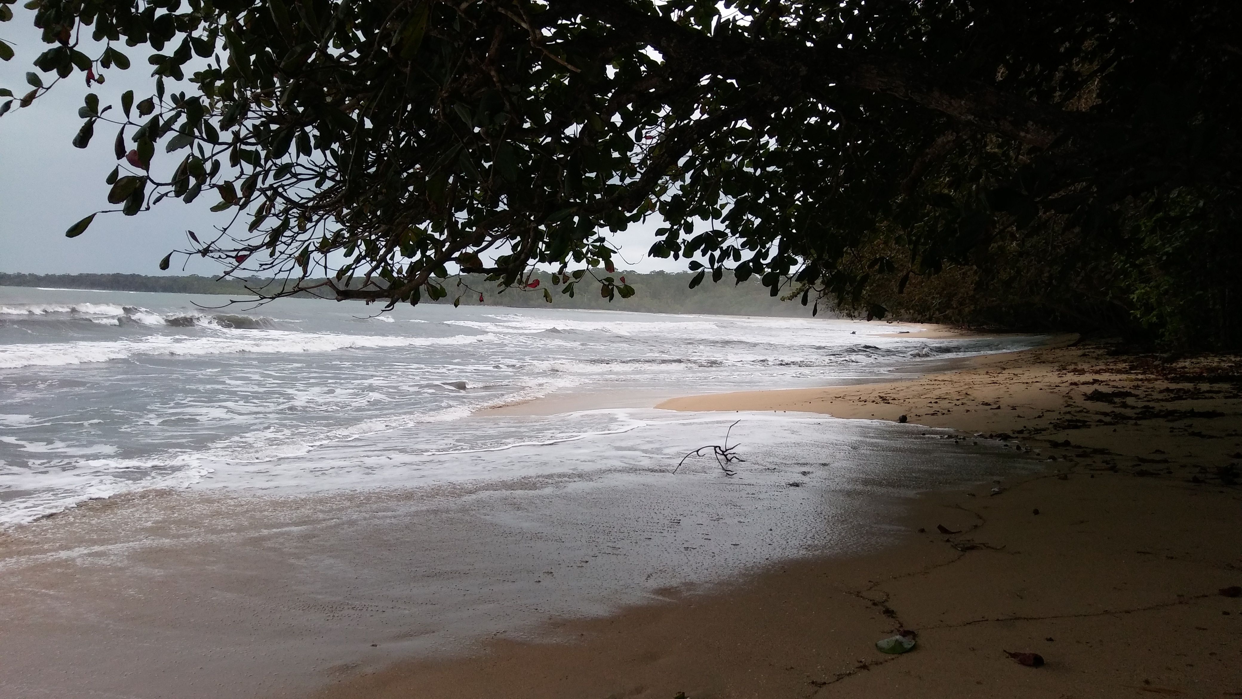 Parque  natural Cahuita, por Luis Montes de Oca
