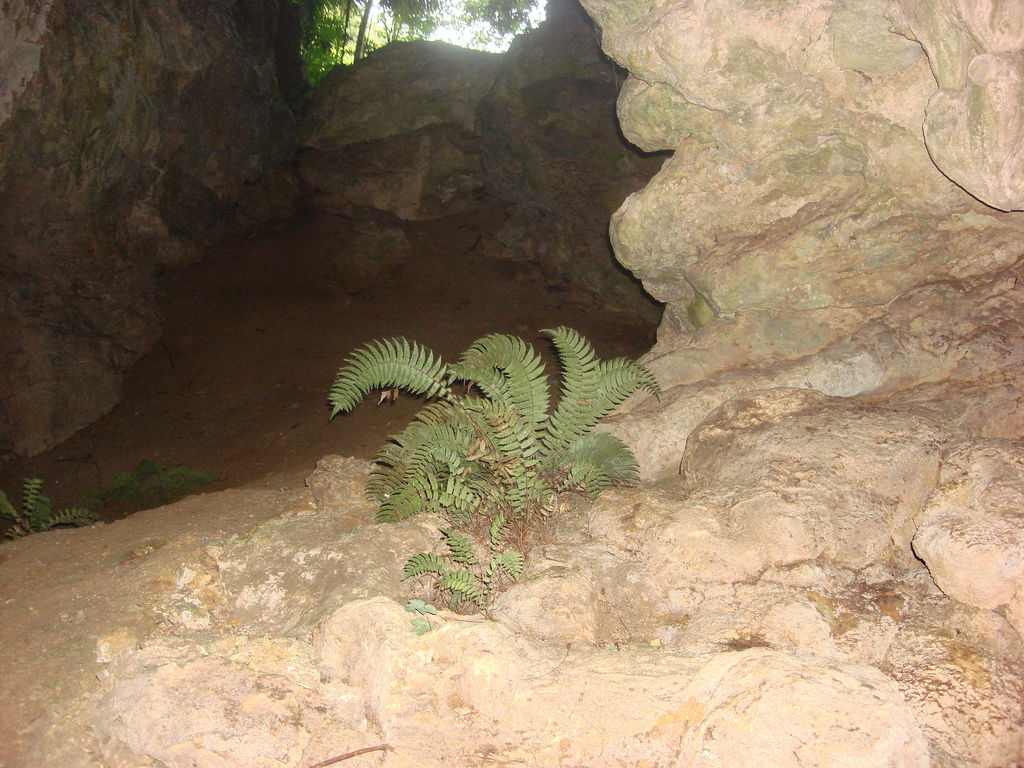 Cuevas de Se`tzol, Chahal Alta Verapaz, por Marvin pop