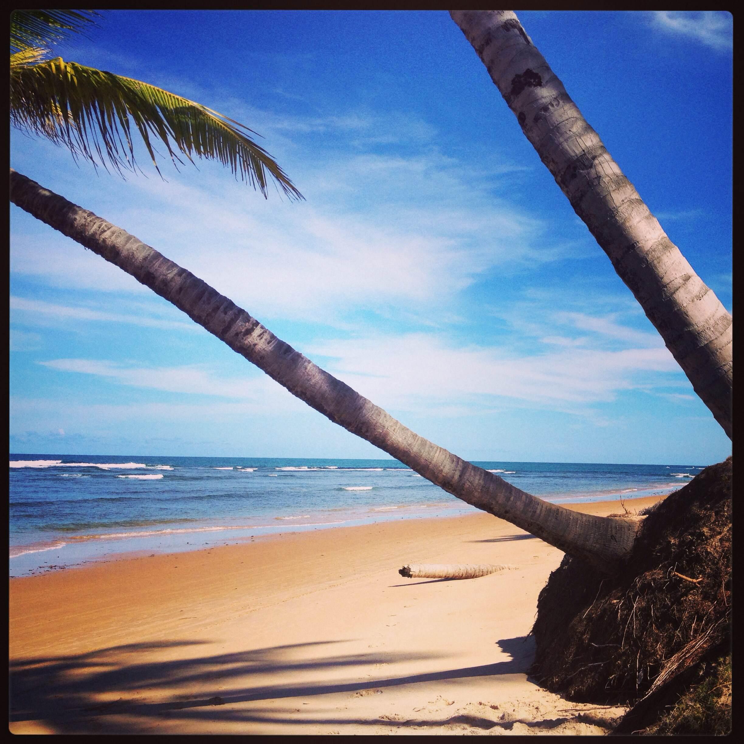 Playa de Taipu de Fora, por Juliana Costa