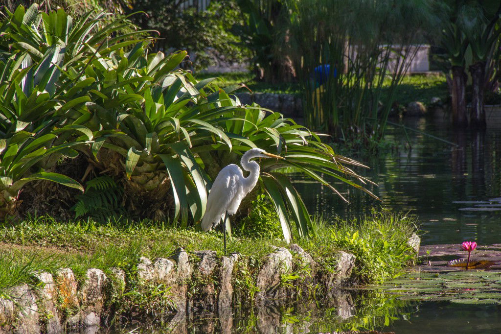 Lago Frei Leandro, por Bruno Martins