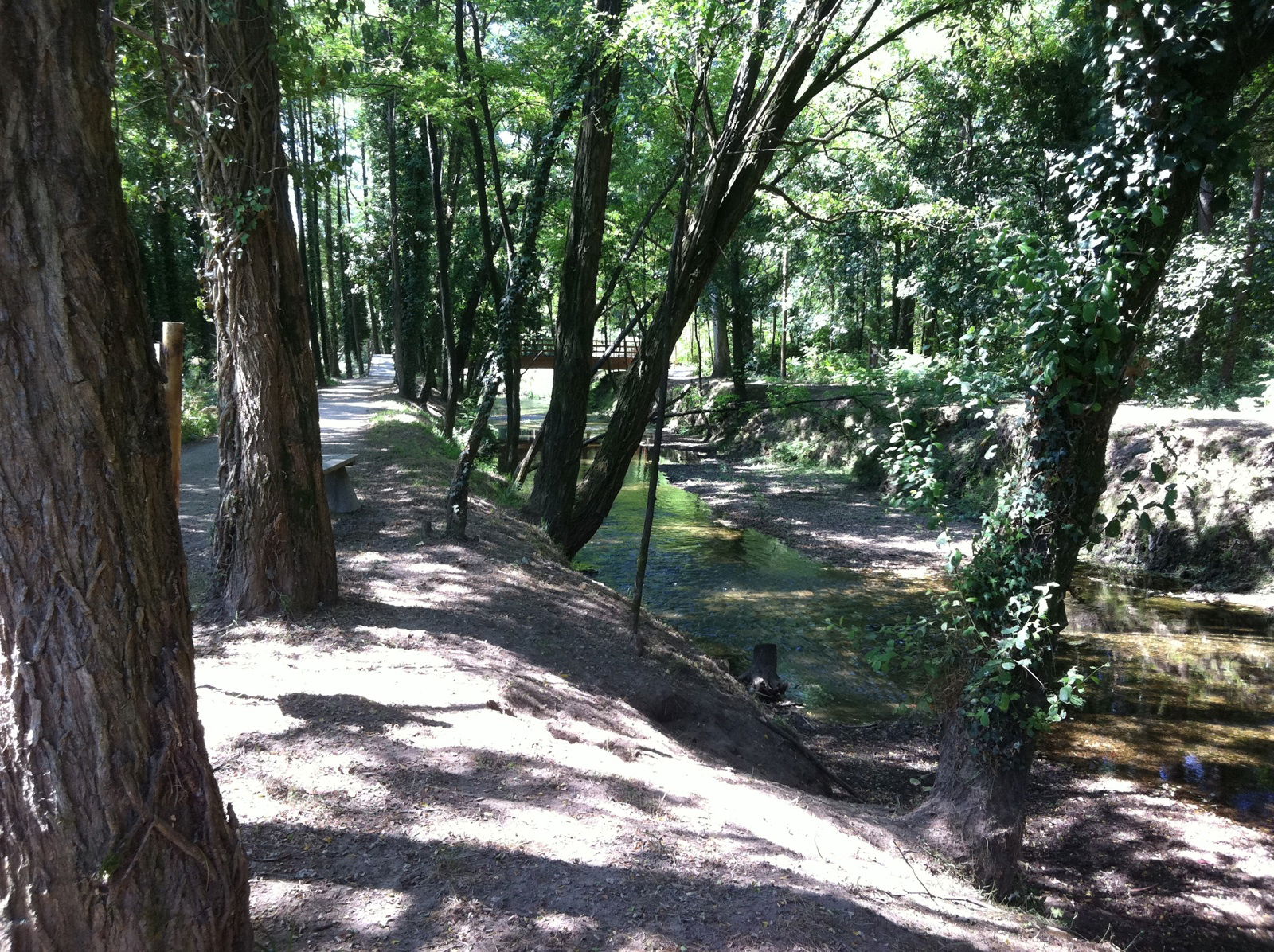 Paseo del río Louro, por Guillermo Paz