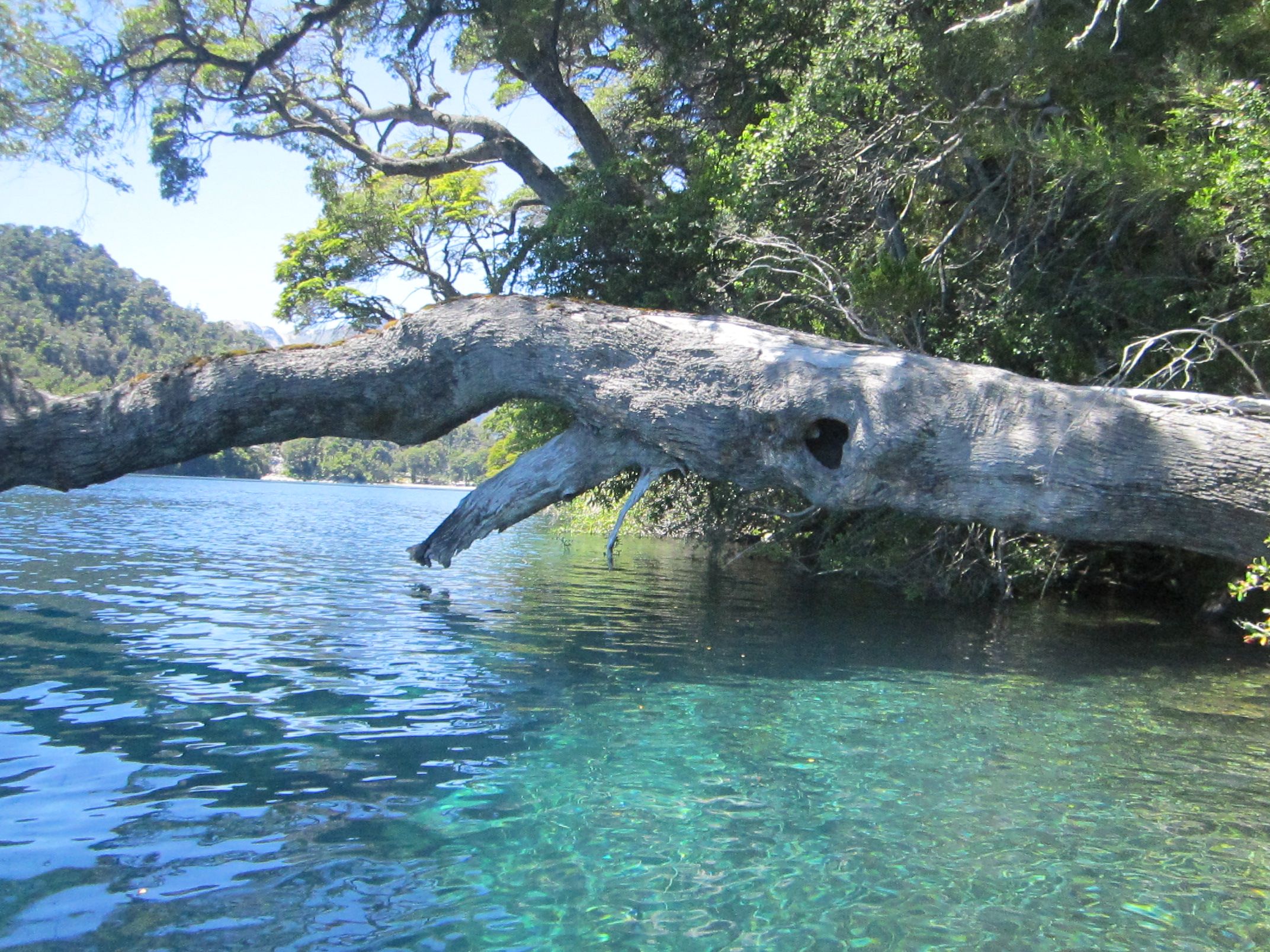 Lago Espejito, por Gaby Tassara