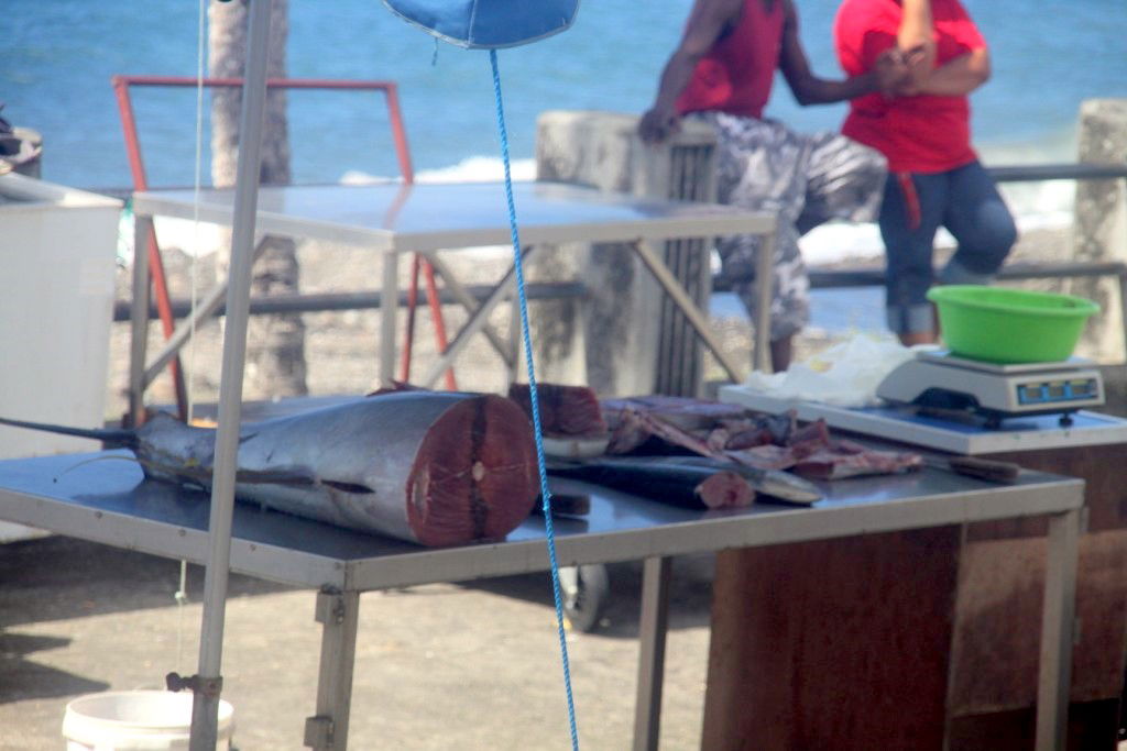 Puestos de pescado en Bellefontaine, por Lala