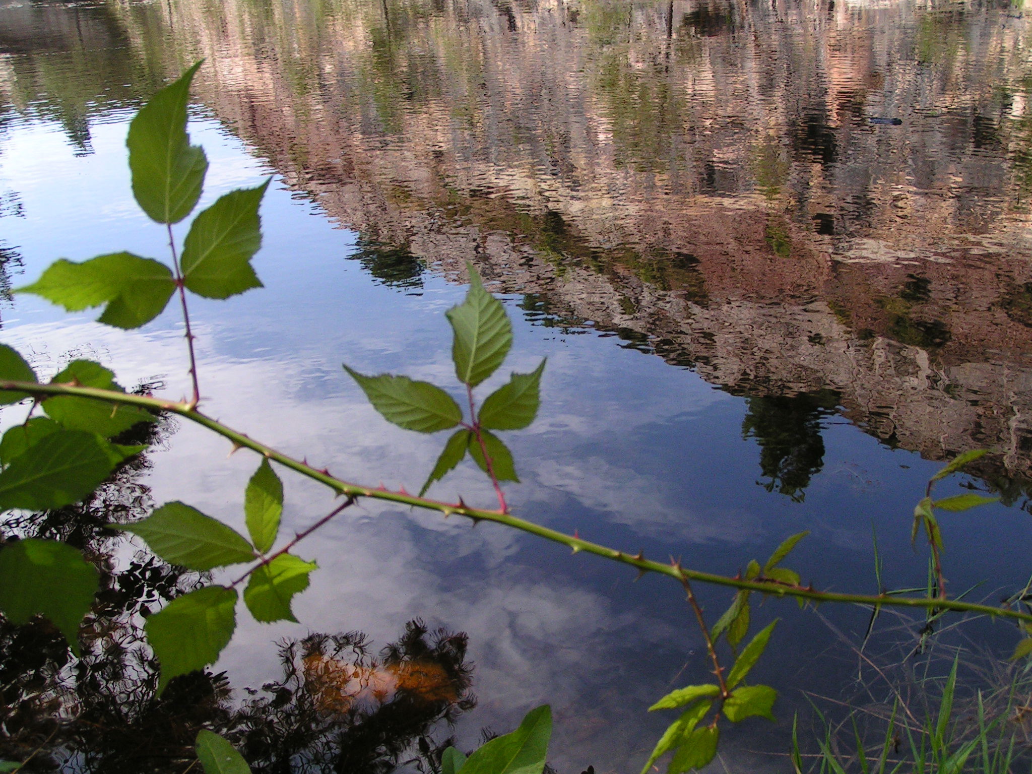 Lago azul, por Mariposa Española