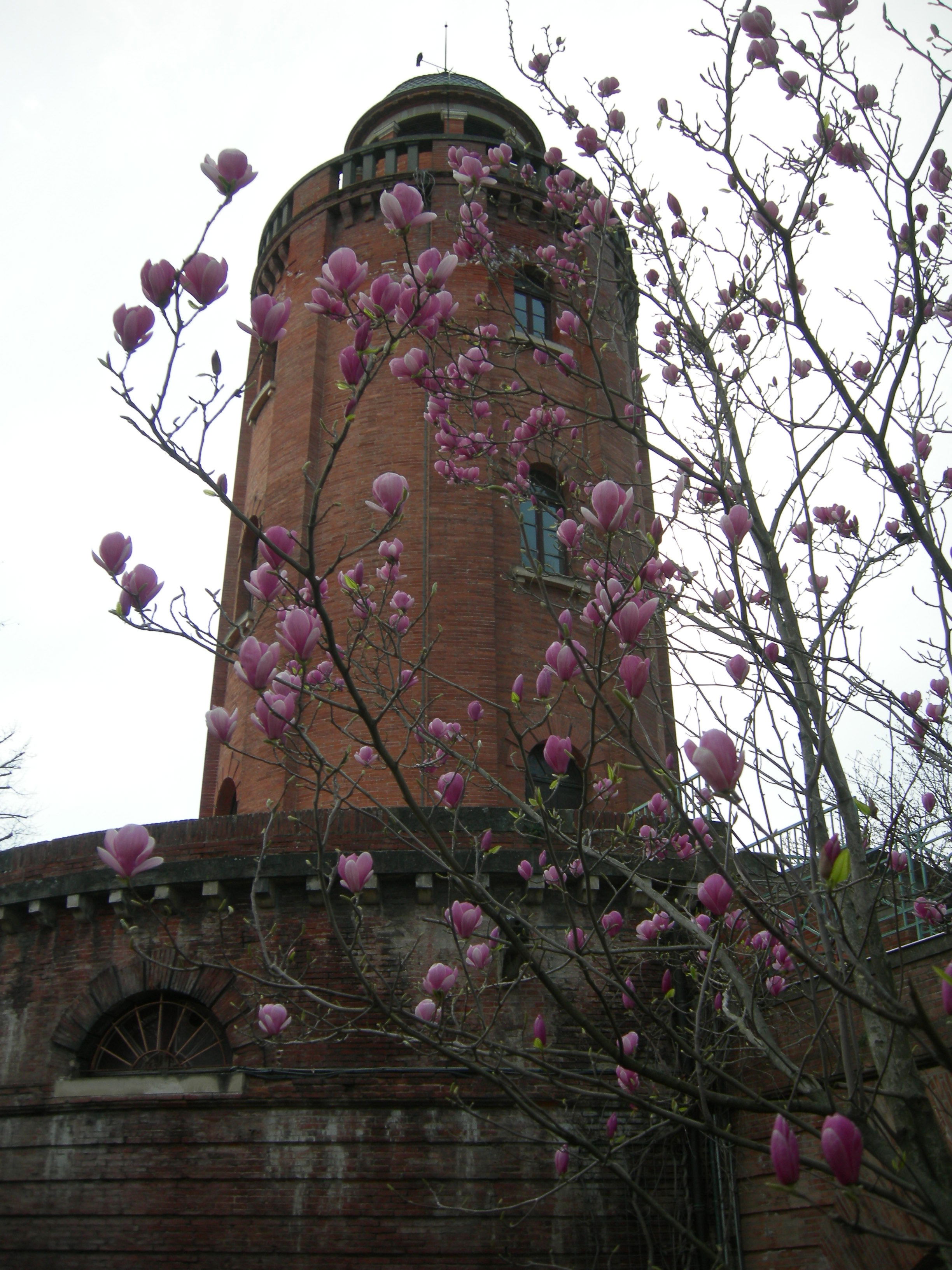 Chateau d'eau, por Alessandra Consonni