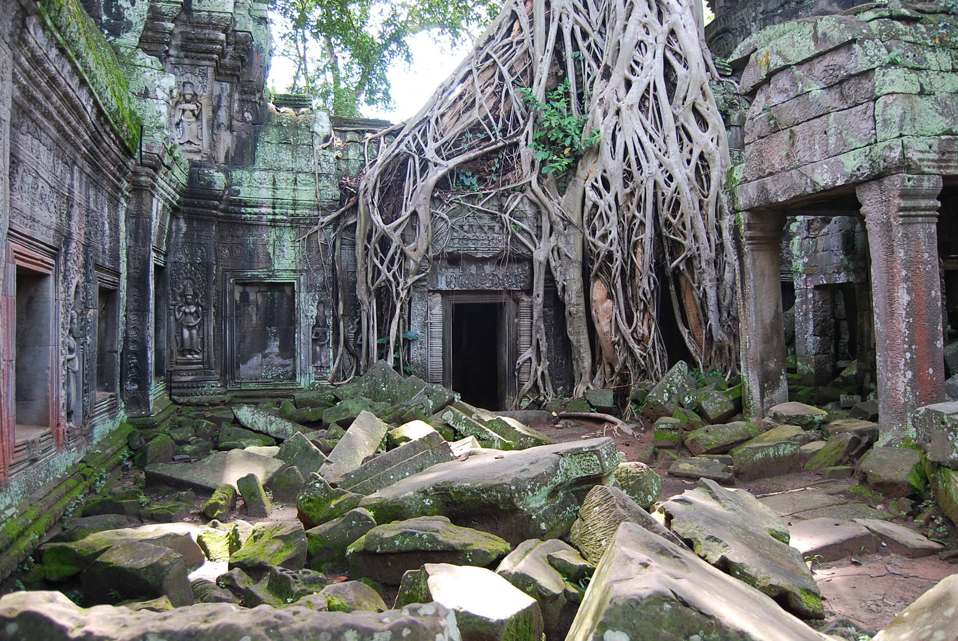 Ta Prohm, por Pau García Solbes