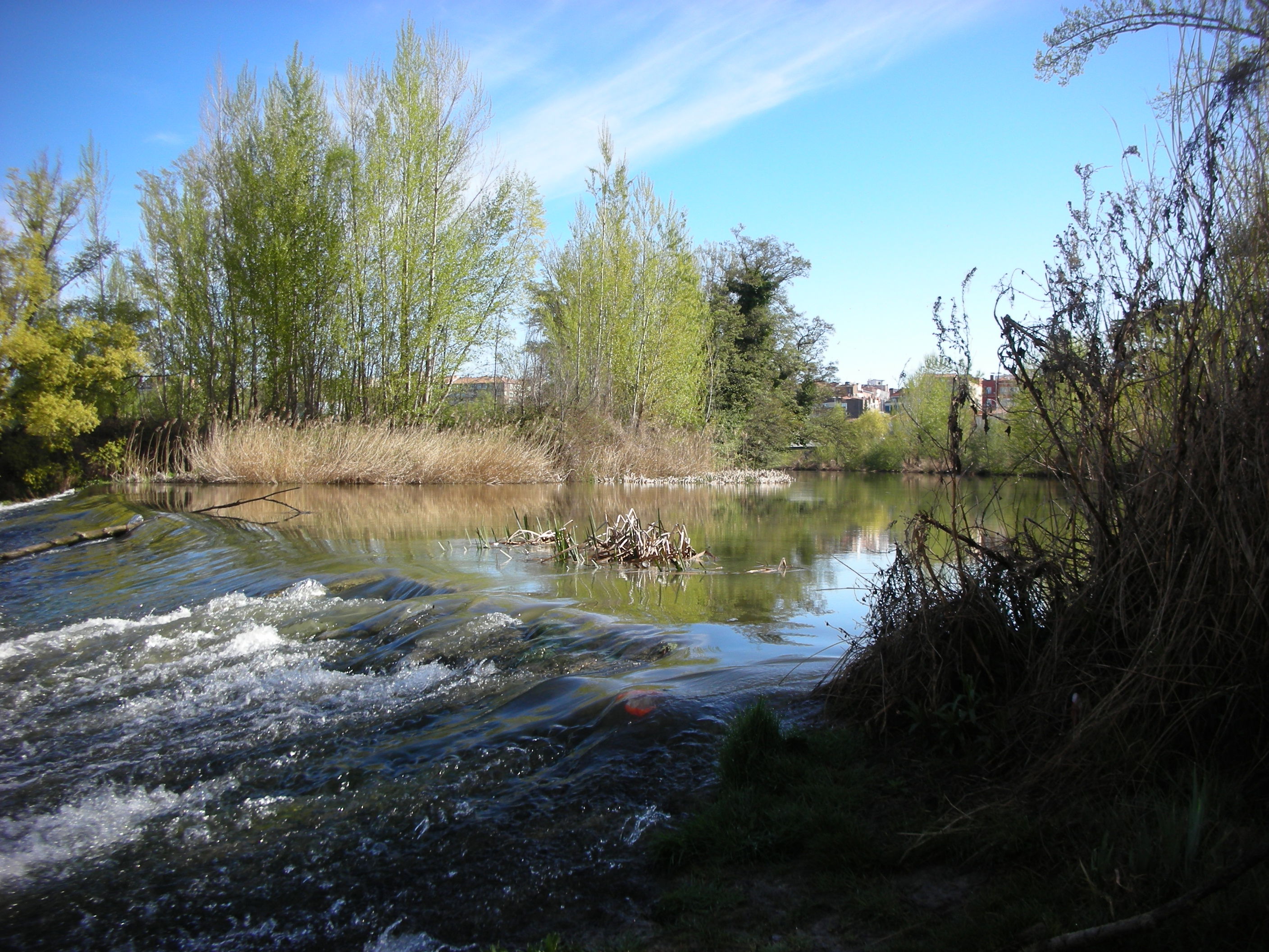 Río Carrión, por ENCARNA ANTOLIN COSSIO
