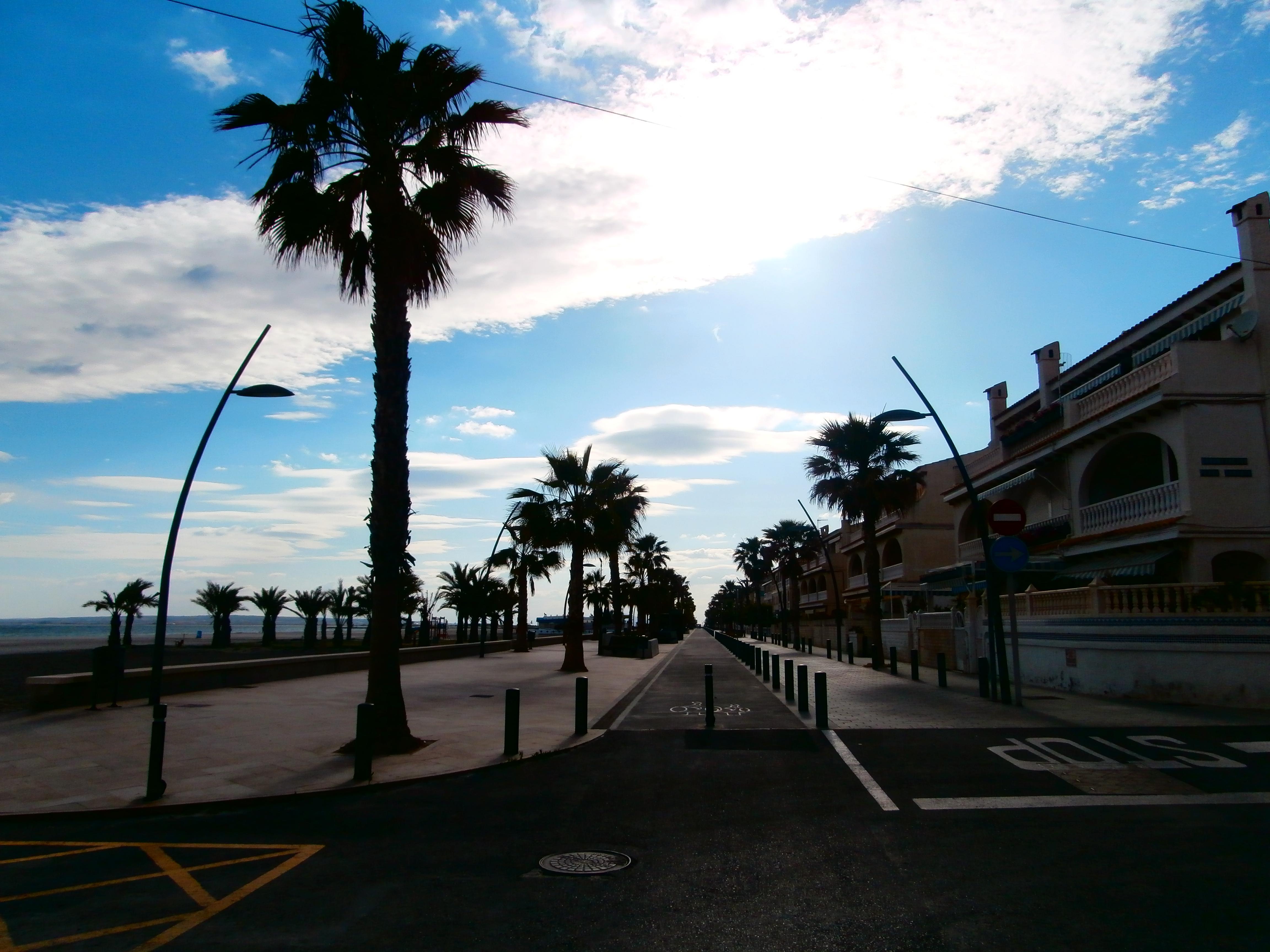 Paseo nuevo Tamarit, por Silvia del Moral