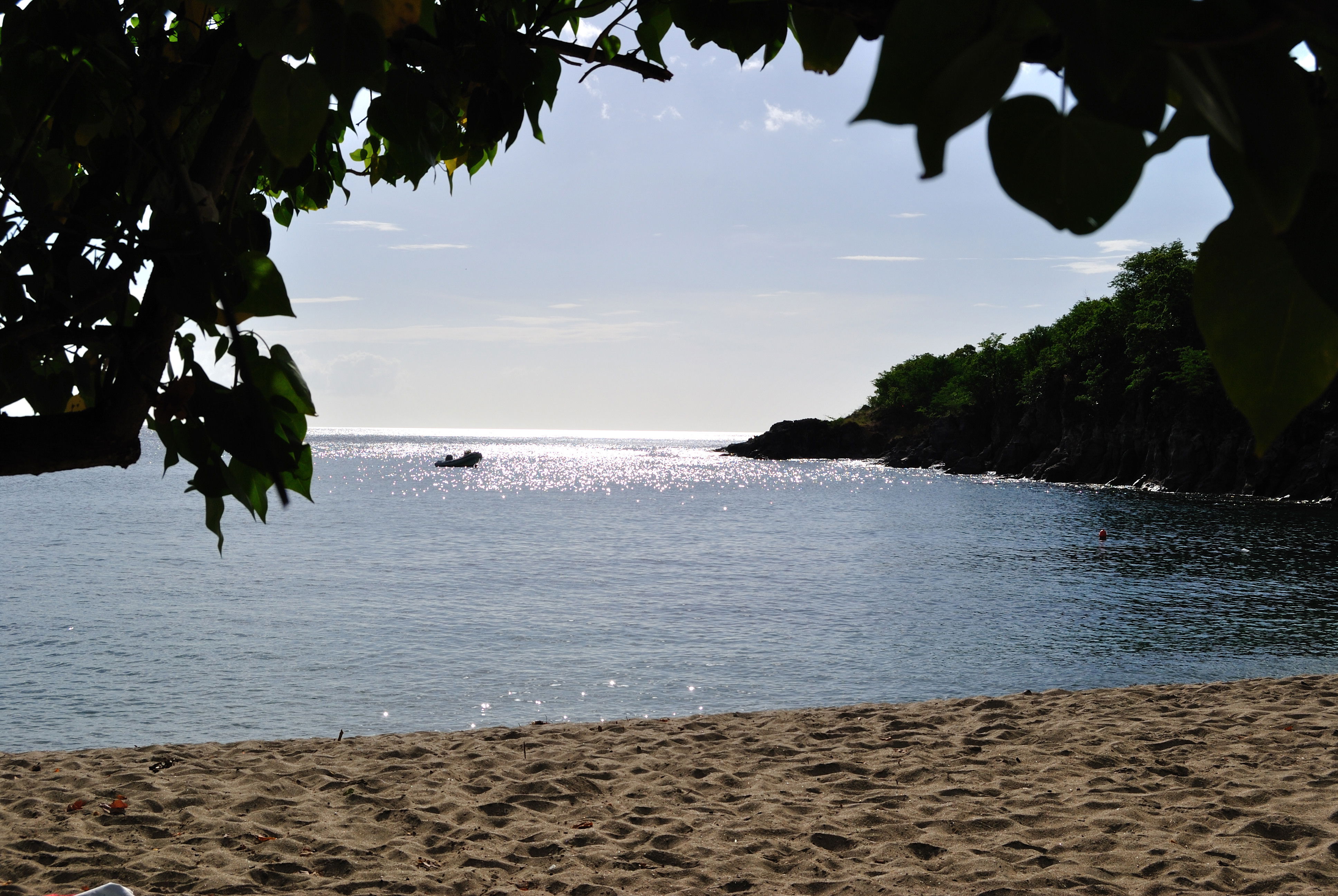 Playa de Petite Anse Deshaies, por arianna franchin