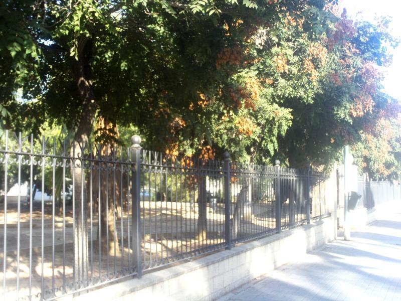 Parque Cristo de los Afligidos, por El Viajero