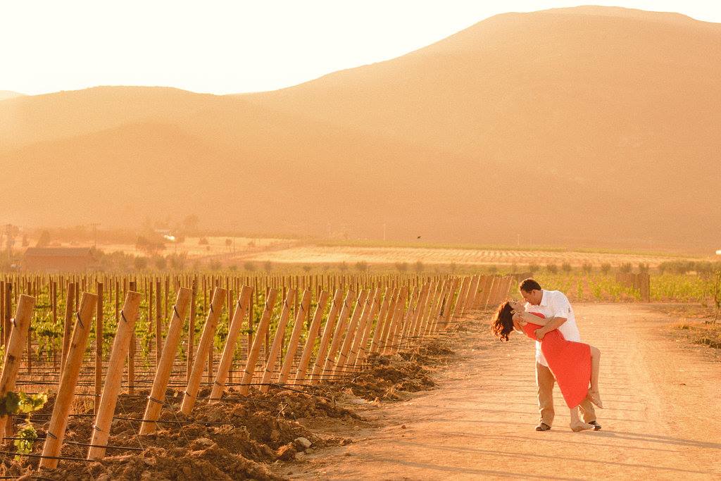 Ruta del vino del Valle de Guadalupe, por Cucapah Experiencias en Baja