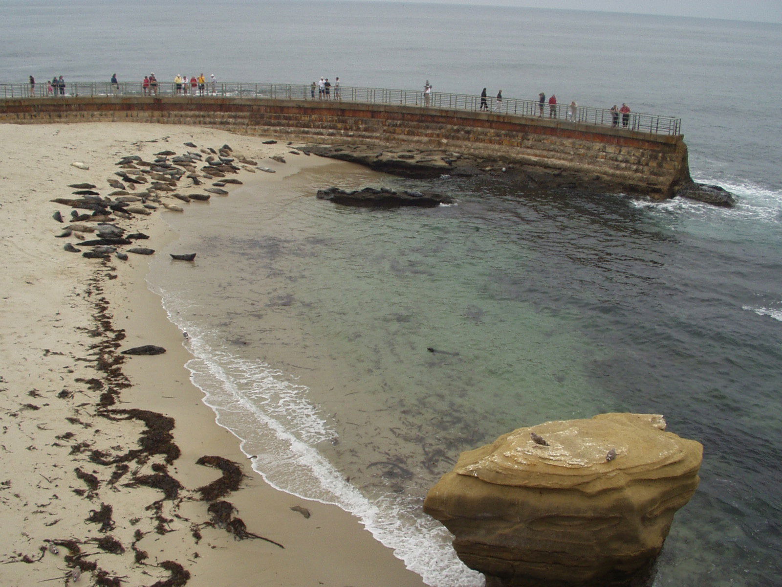 Bahía de La Jolla, por Ignigo