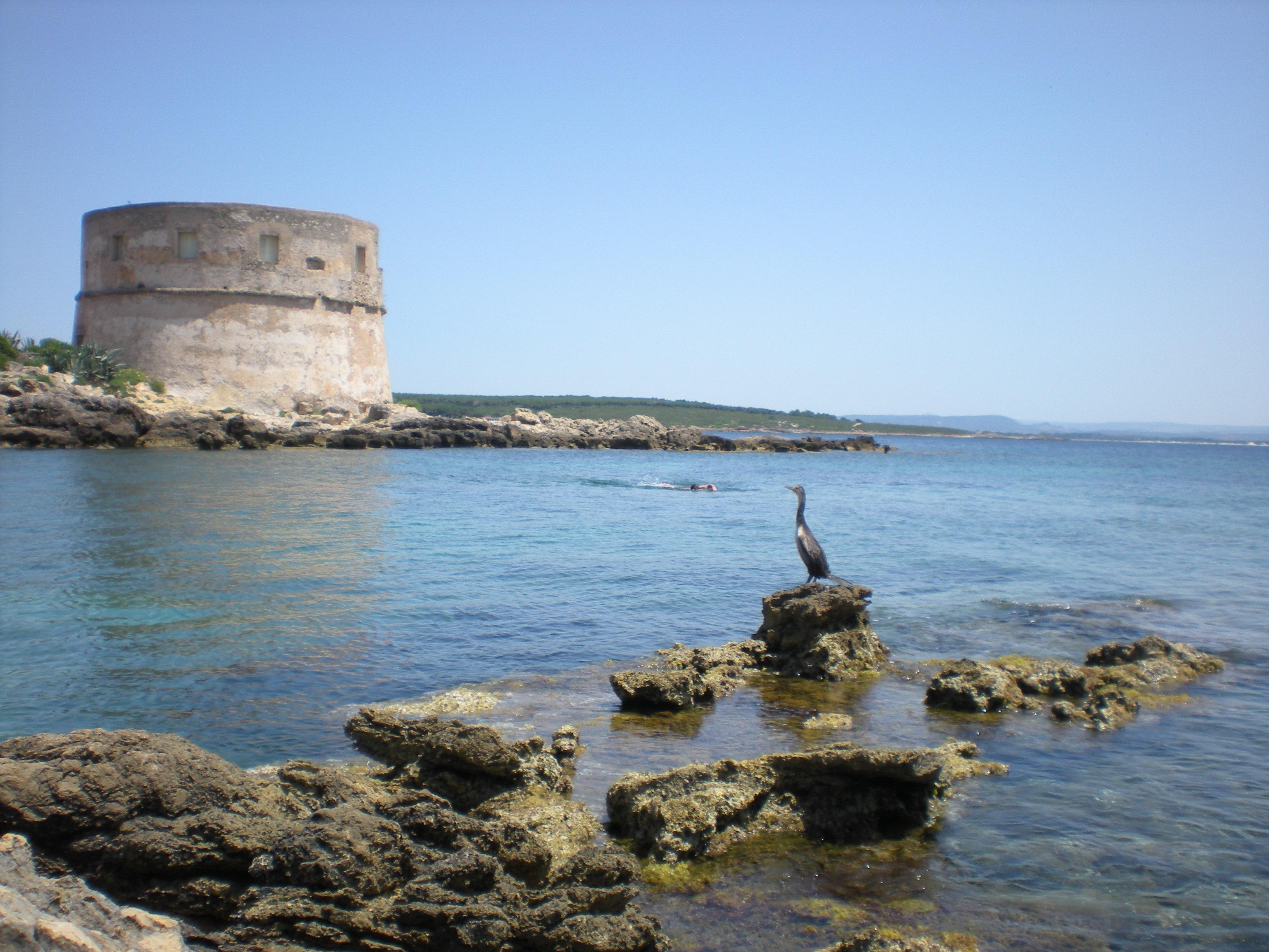 Torre del Lazzareto, por Giovanni Sedda