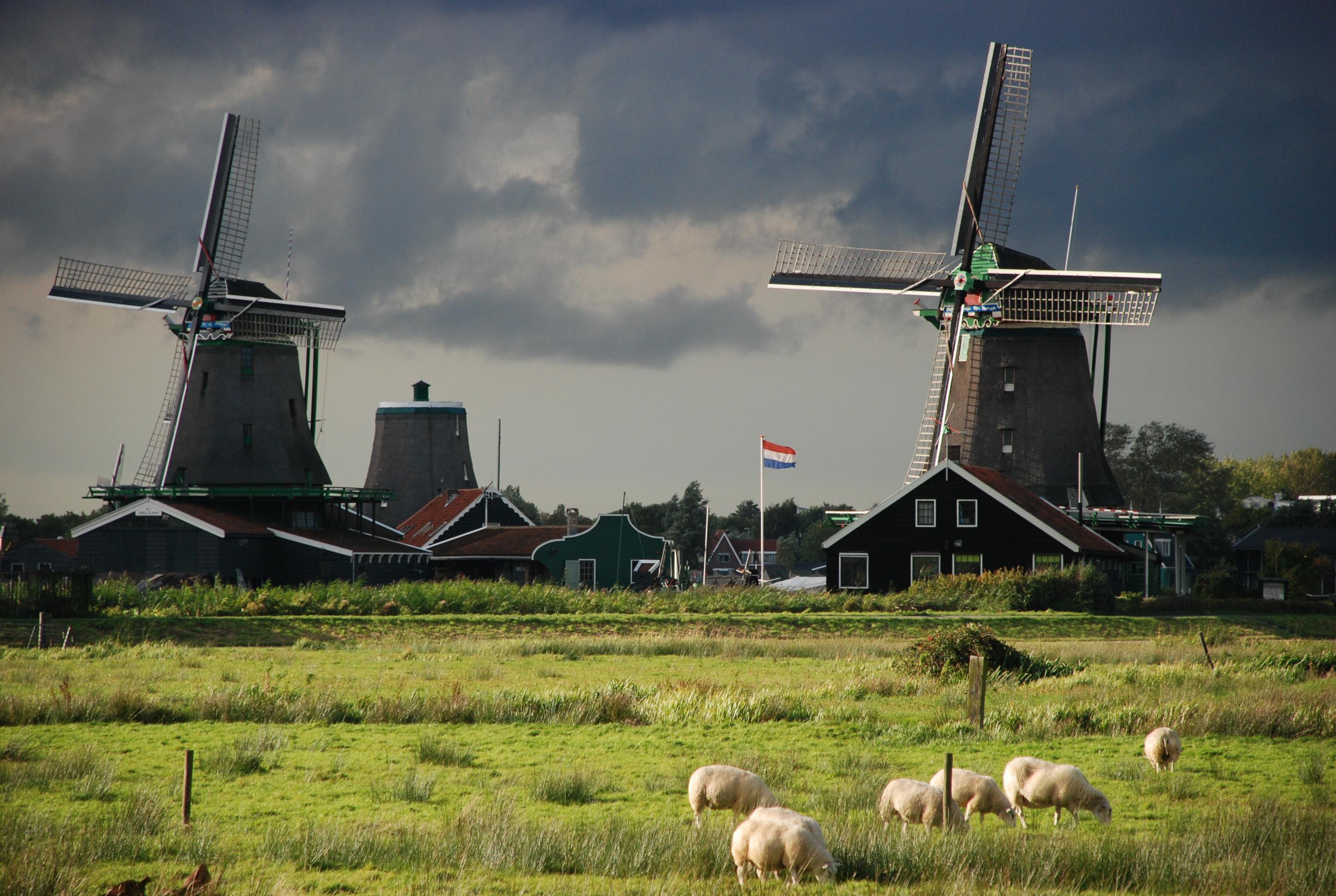 Molinos de Zaanse Schans, por Victor Manuel Rubio 