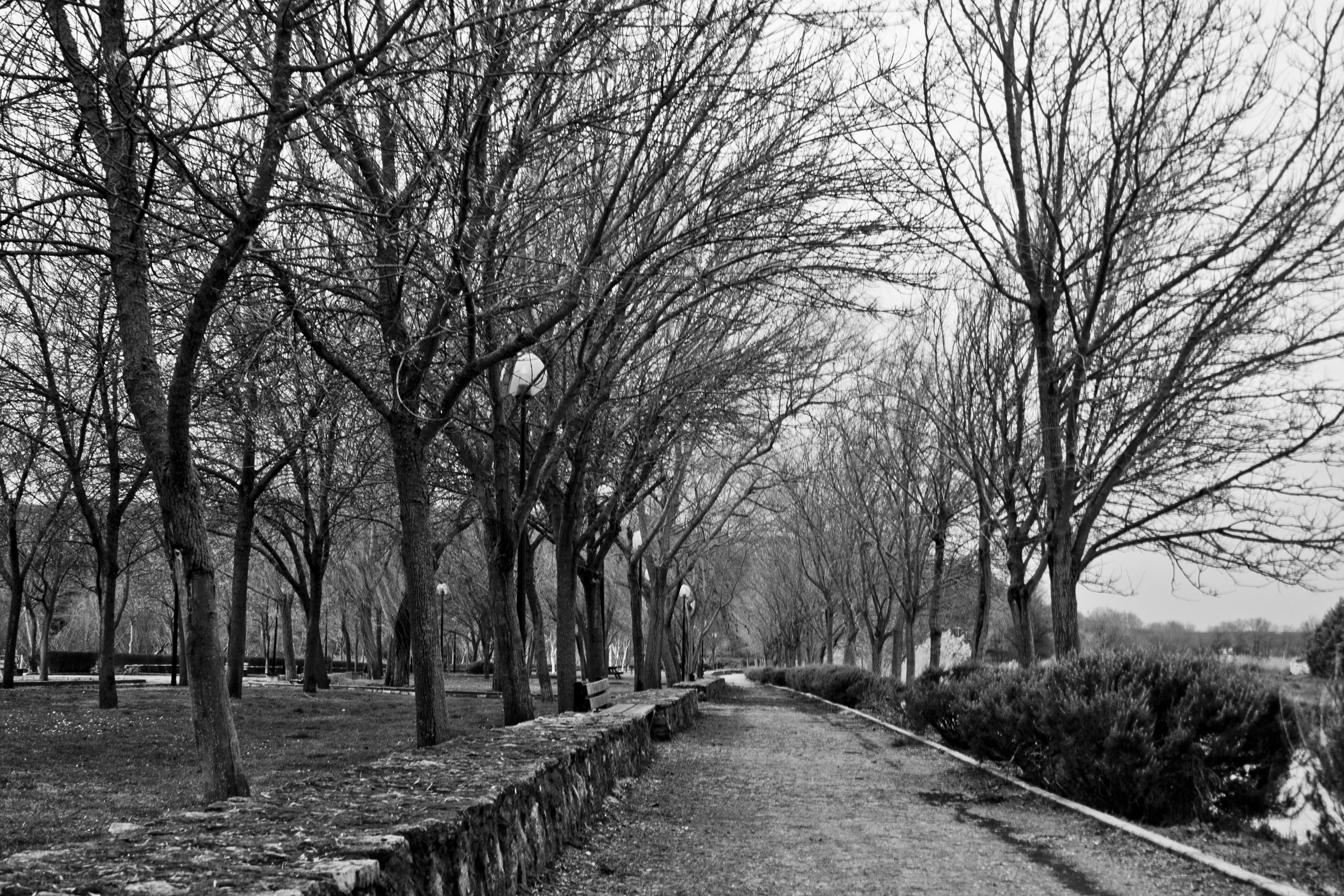 Jardines en Zamora: un recorrido por la belleza natural de la ciudad