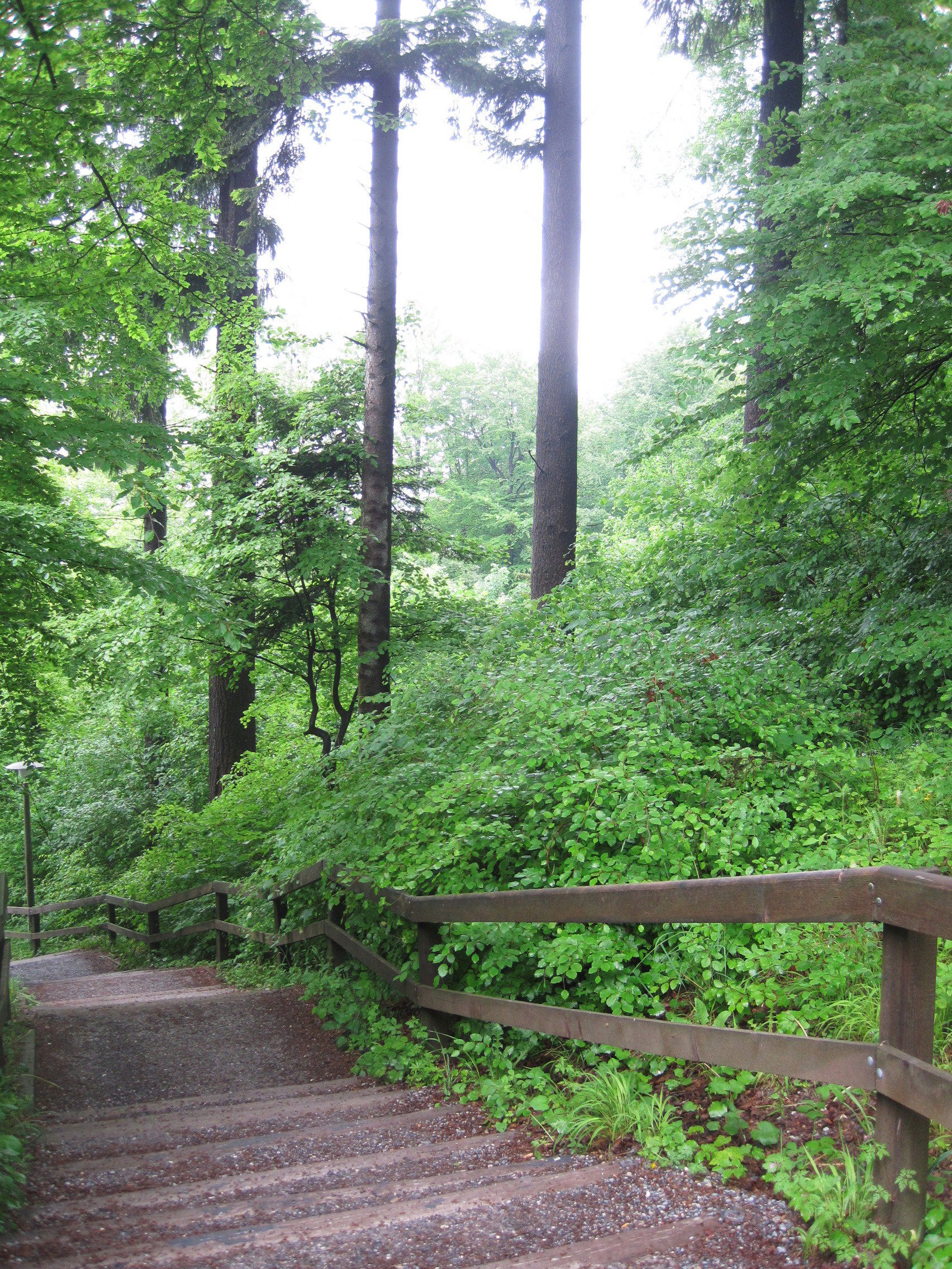 Uetliberg, por aierim