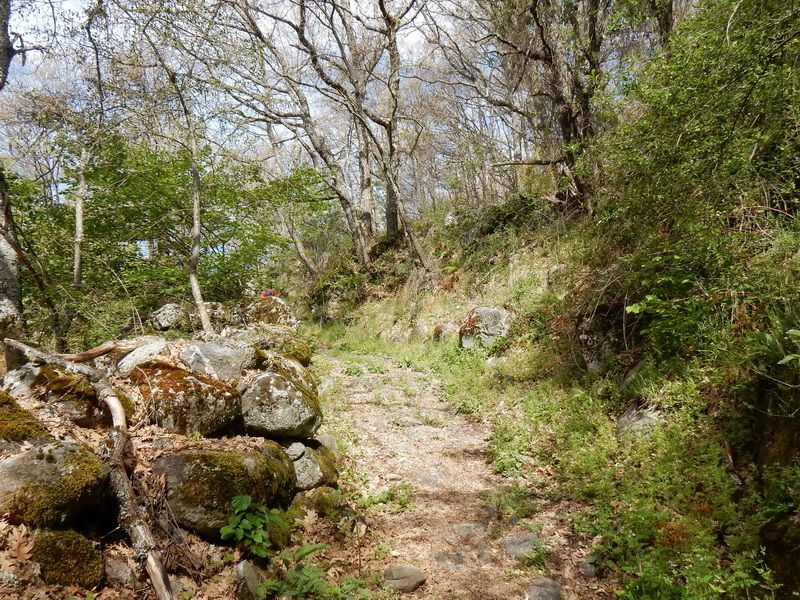 San Martin de Castañeda, por PierLuigi Galliano