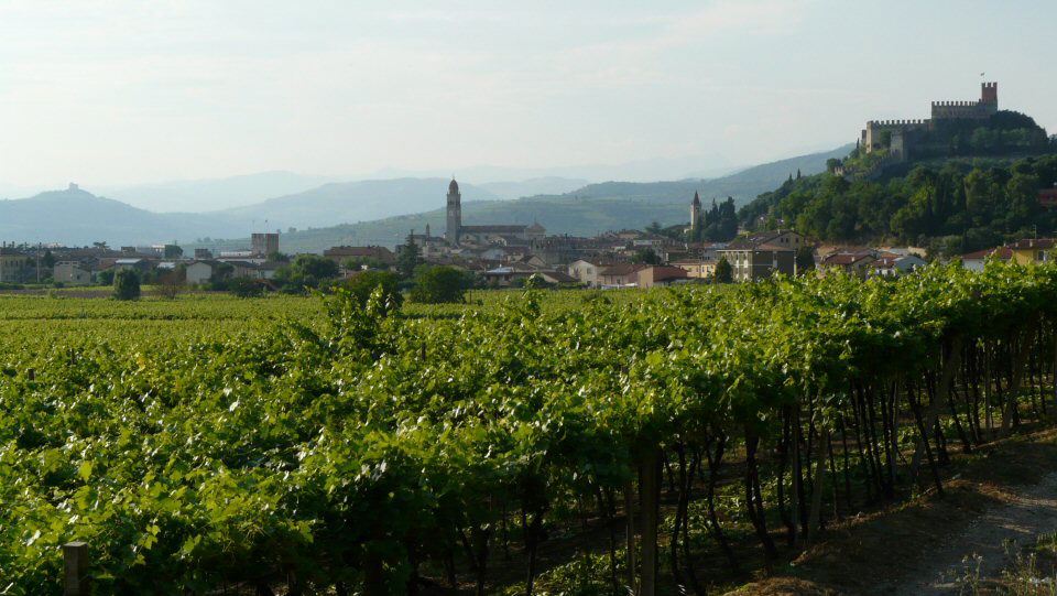 Soave, por Marco Guizzardi