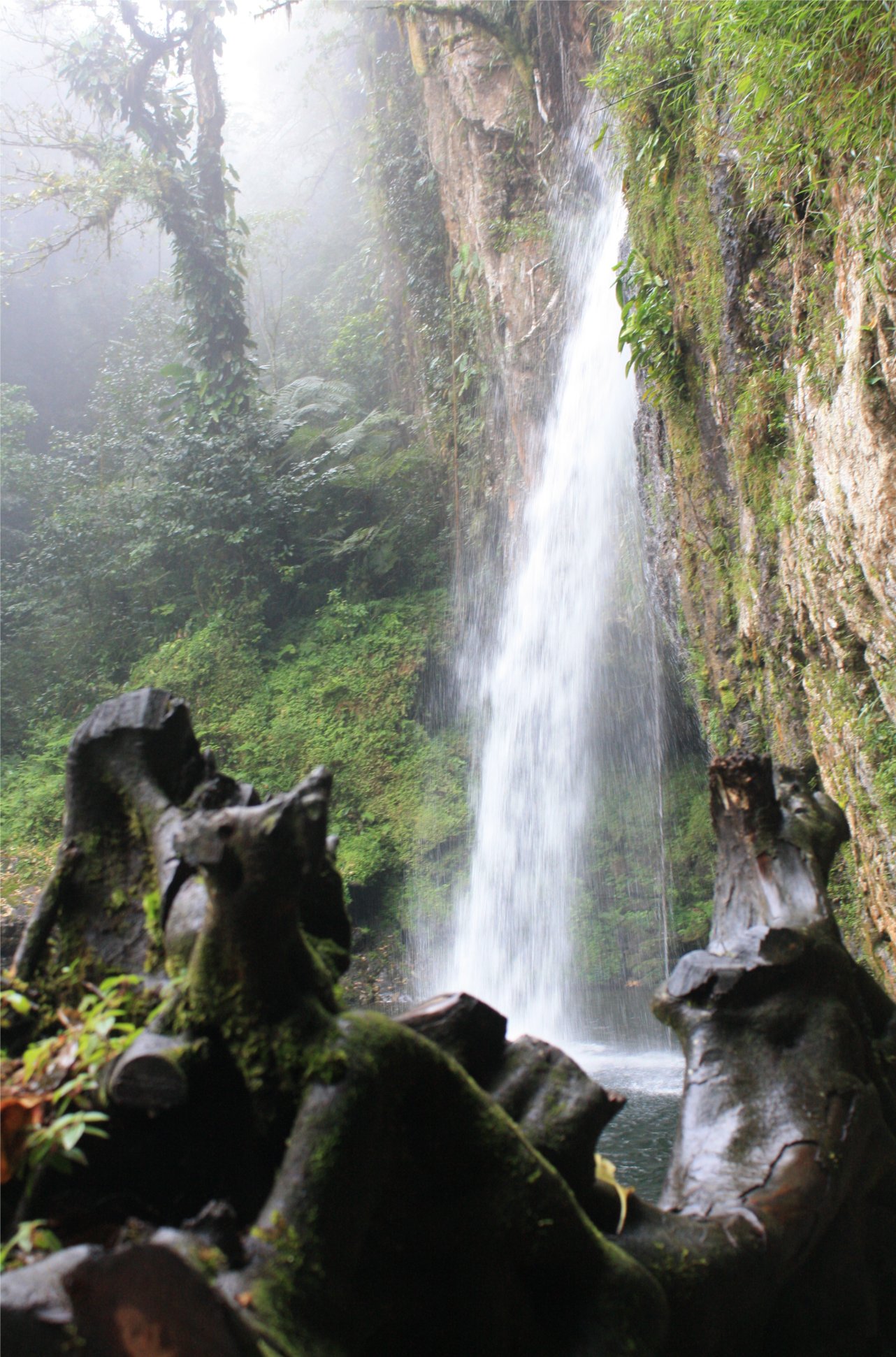 Cascada Las Brisas, por alejandro casarrubias perez
