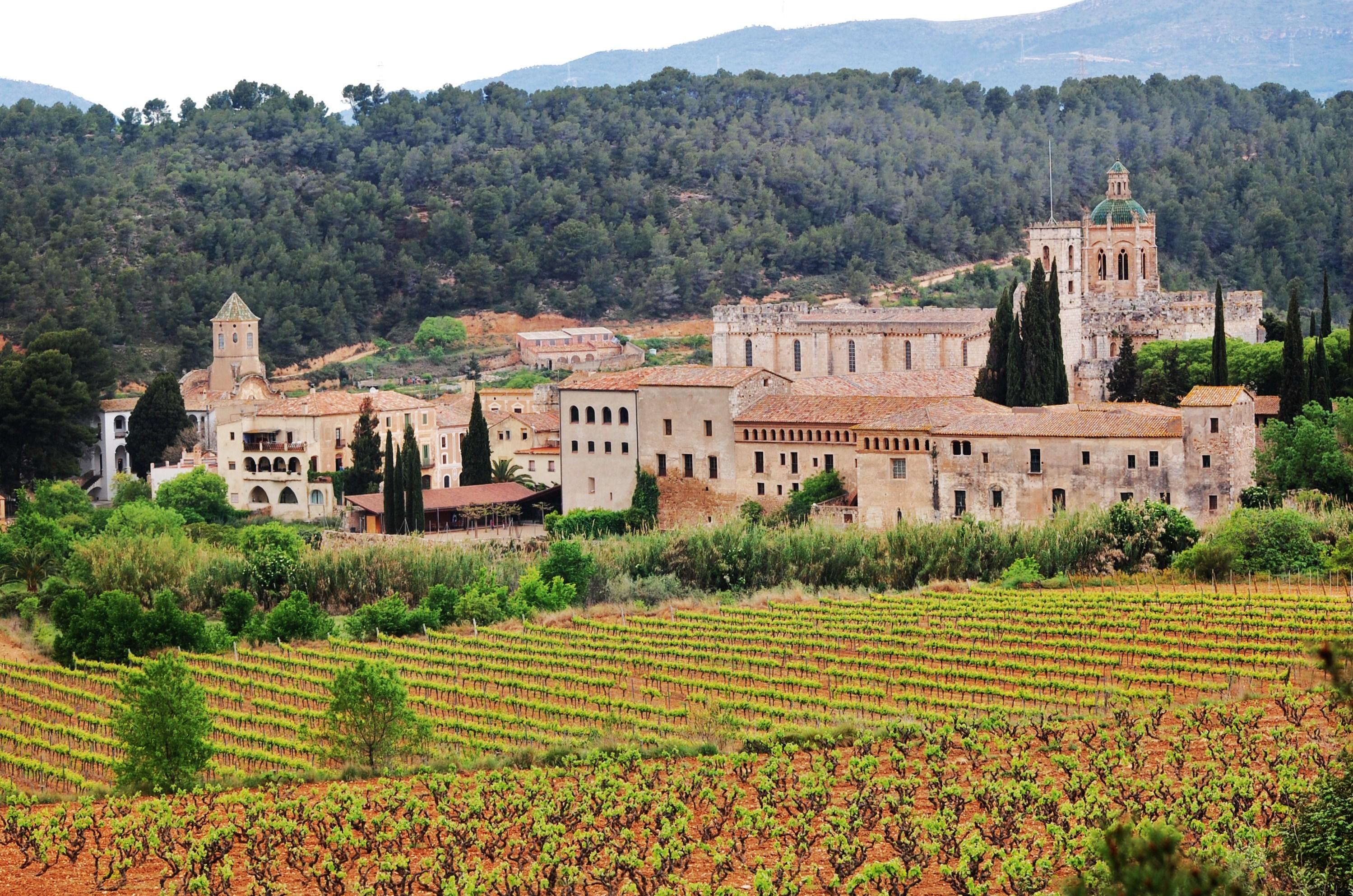 Monasterio de Santes Creus, por Maria Rosa Ferré