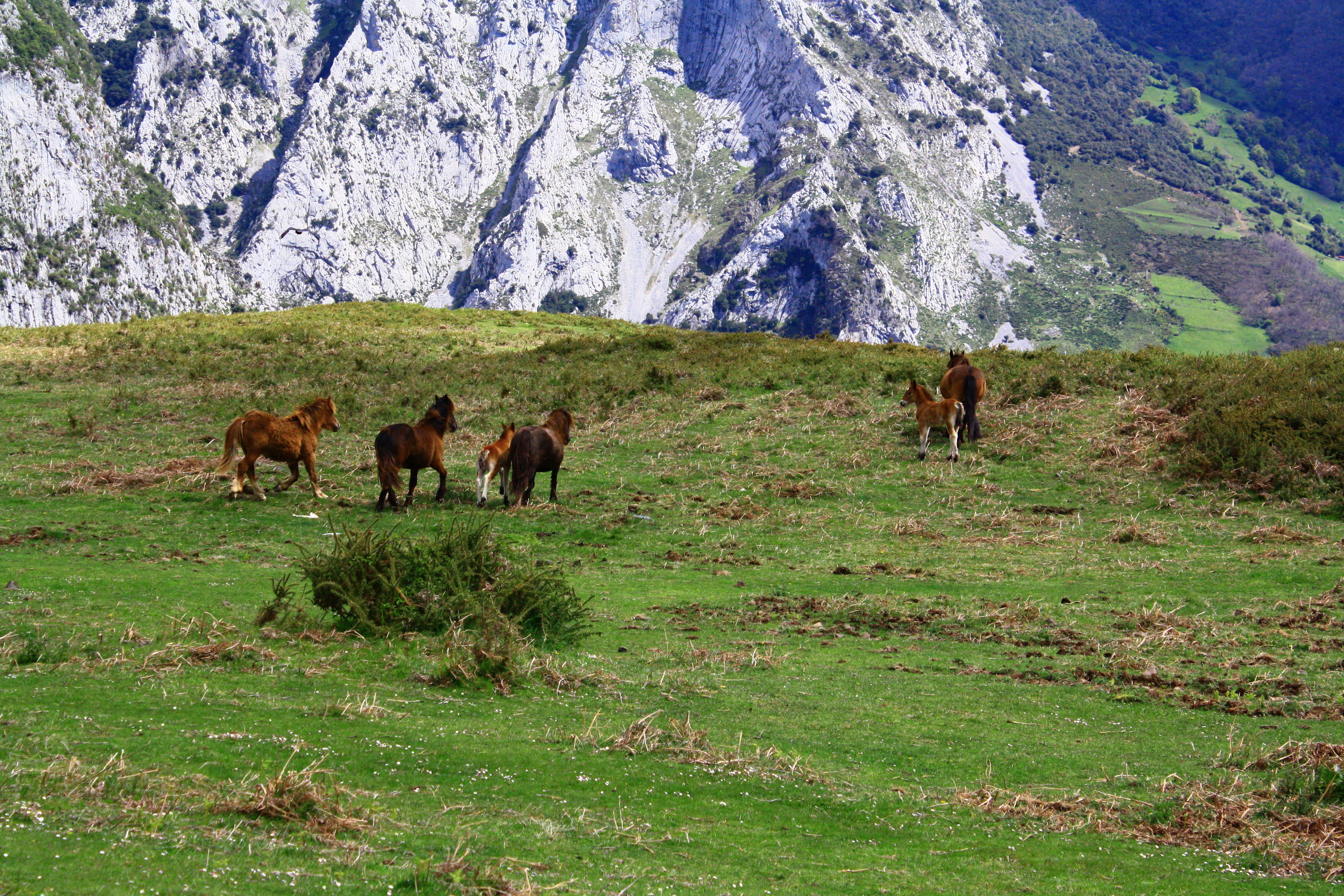 Aventura en Cantabria: Un viaje por un paraíso natural único.