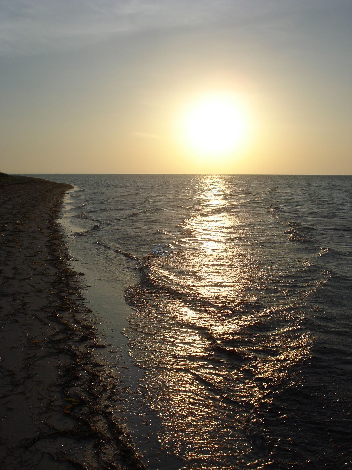 San Crisanto, por tefita