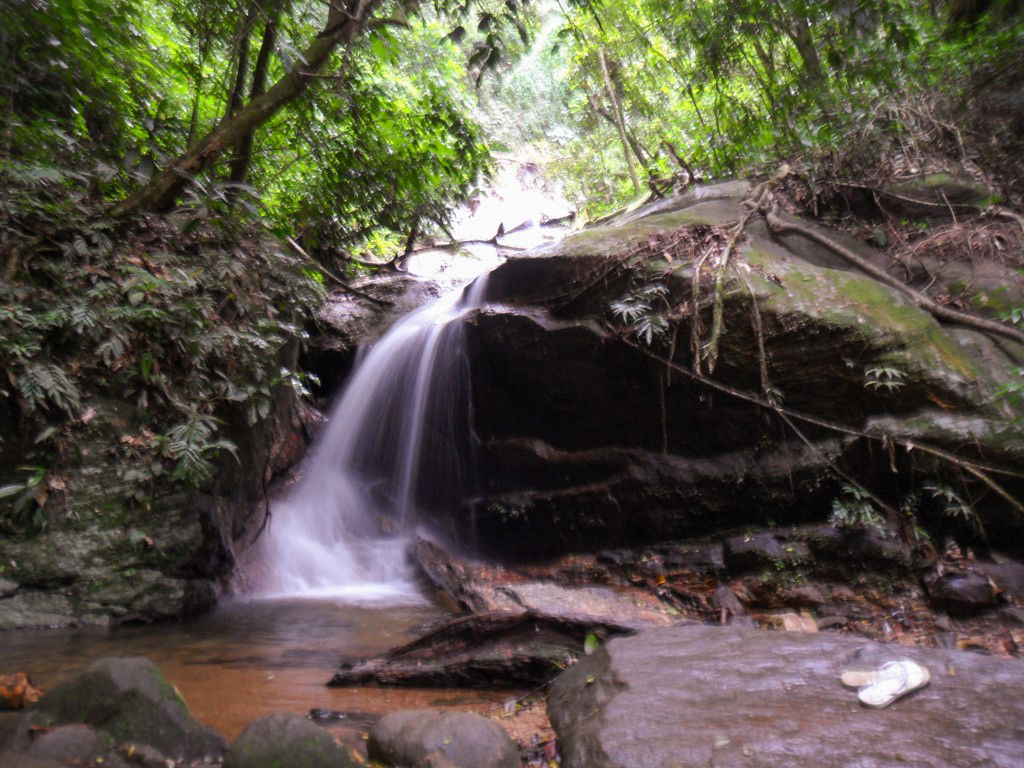 Travessia Serra da Carioca -  Parque Lage X Horto, por Bruno Martins