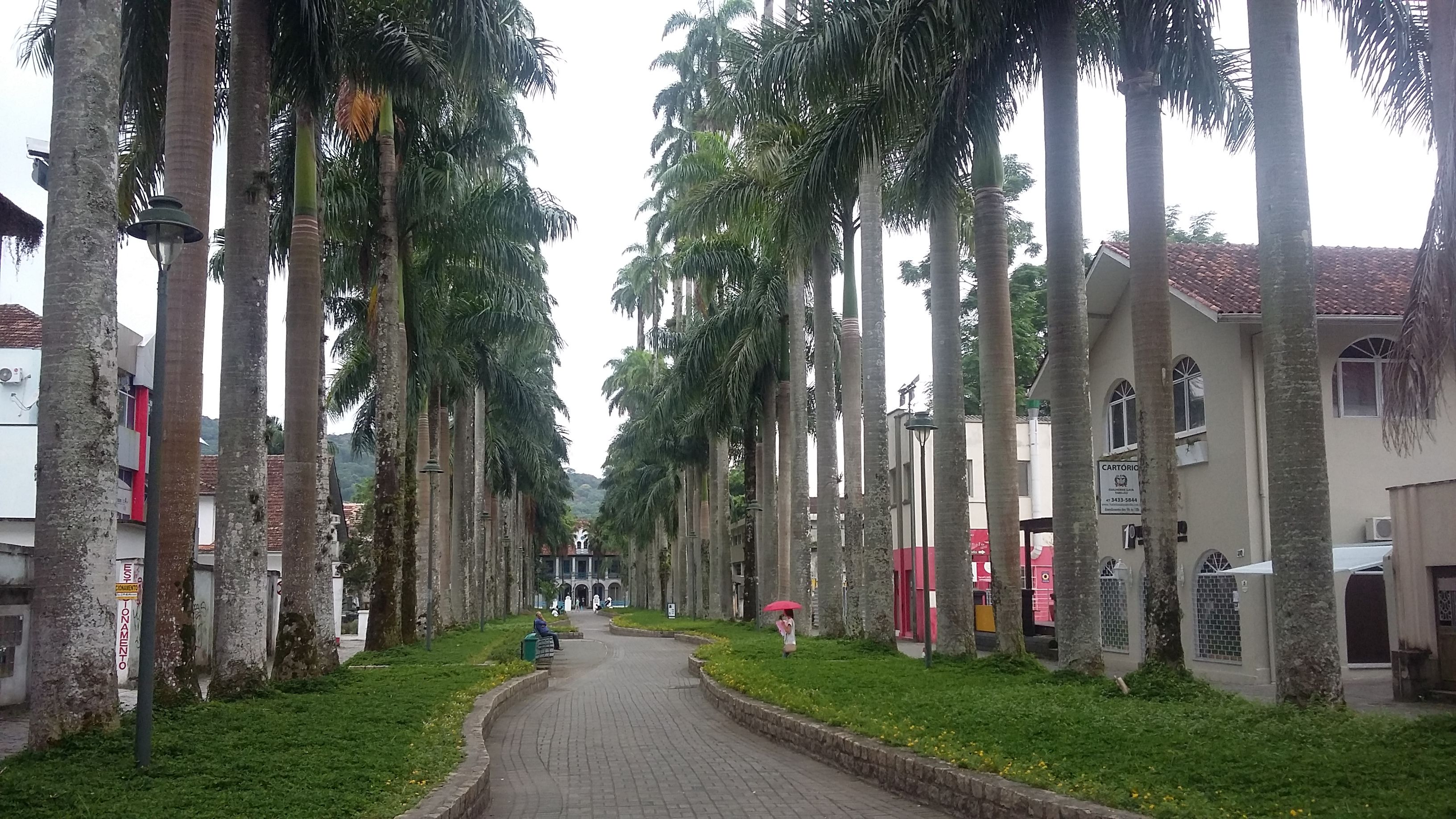 Rua das Palmeiras, por Descortinando horizontes